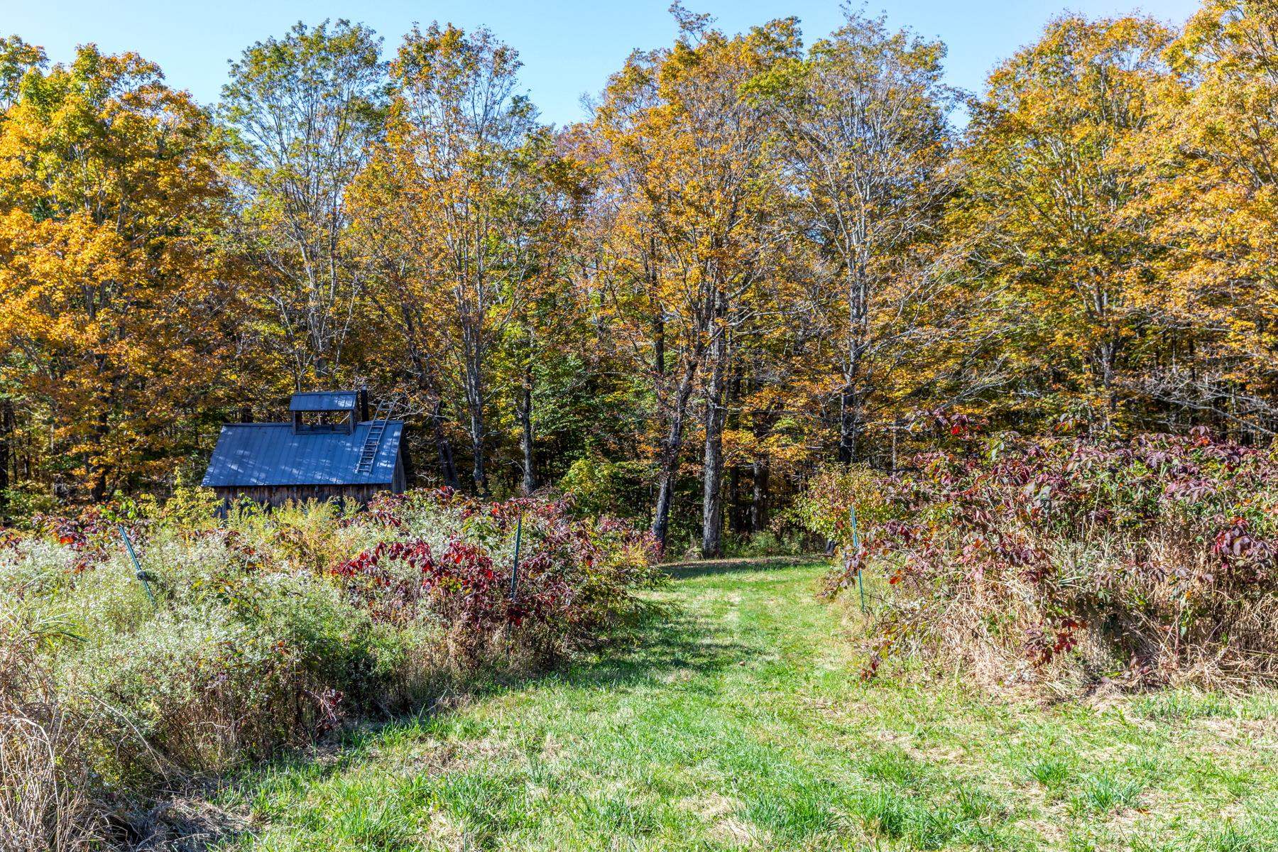 1421 Shaw Mansion Road Property Photo 28