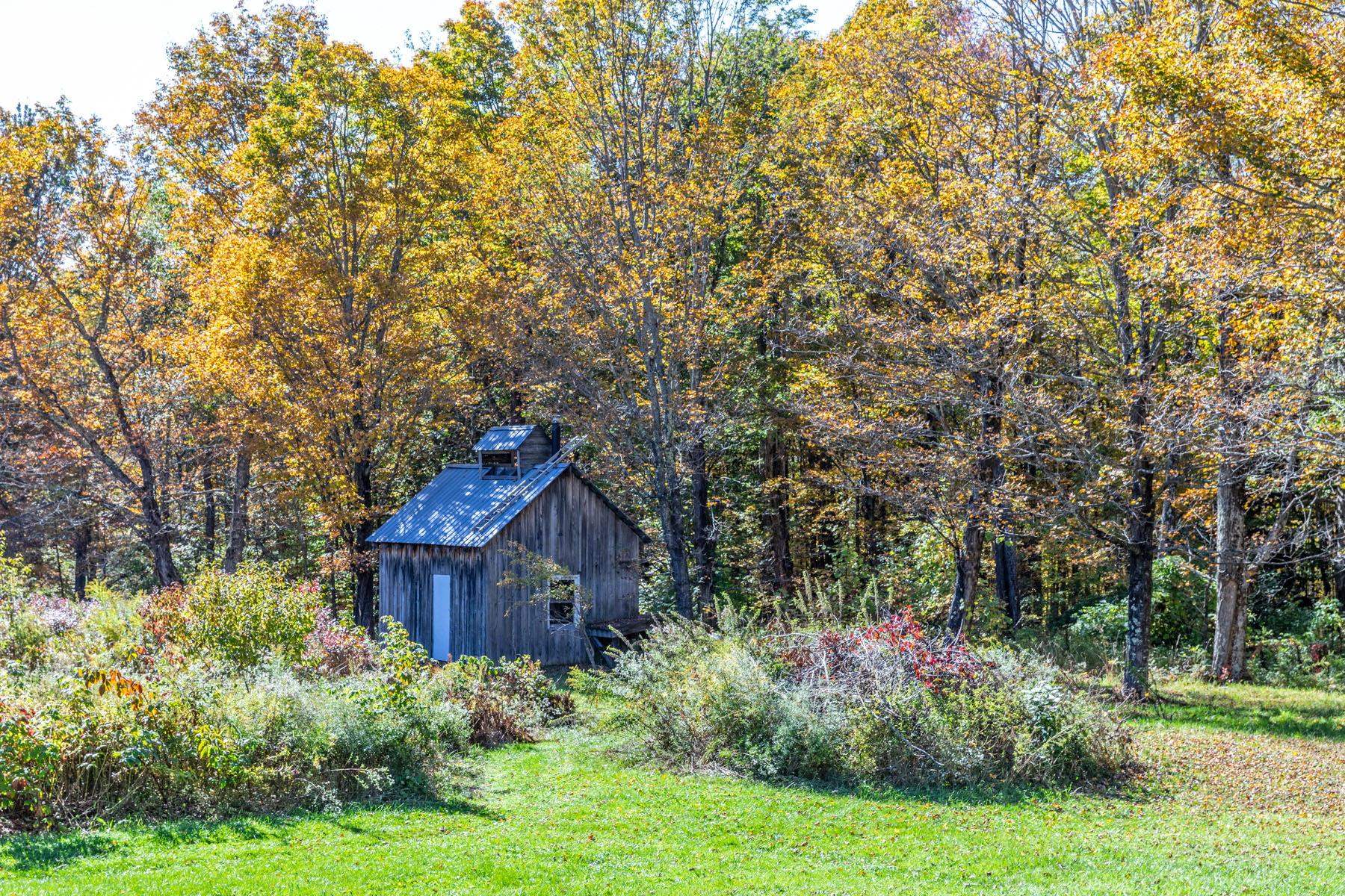 1421 Shaw Mansion Road Property Photo 33