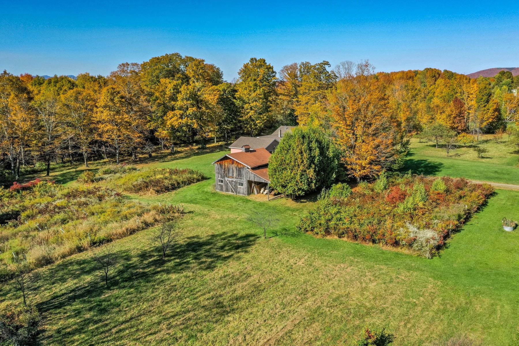 1421 Shaw Mansion Road Property Photo 37