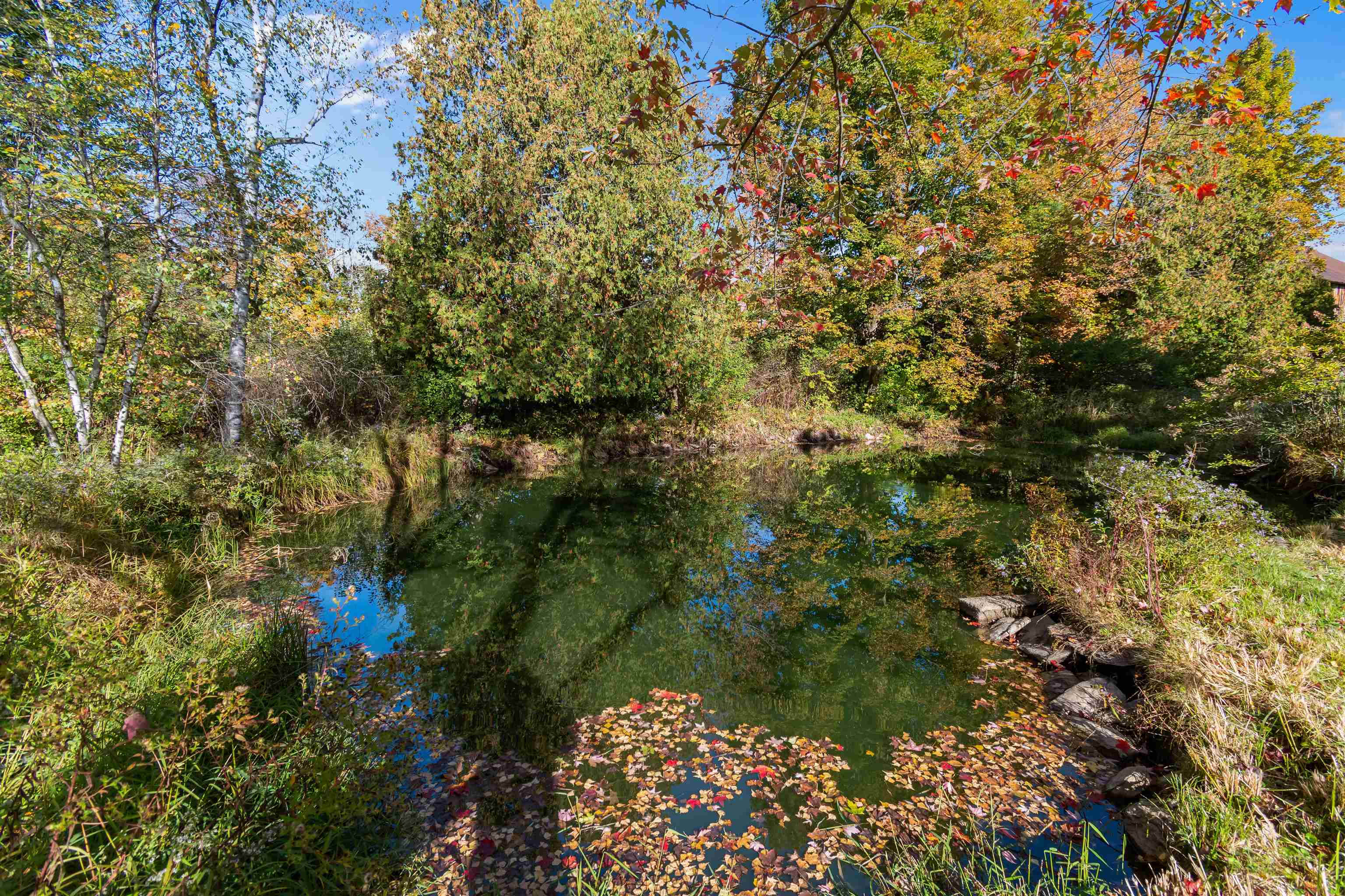 123 North Road Property Photo 59