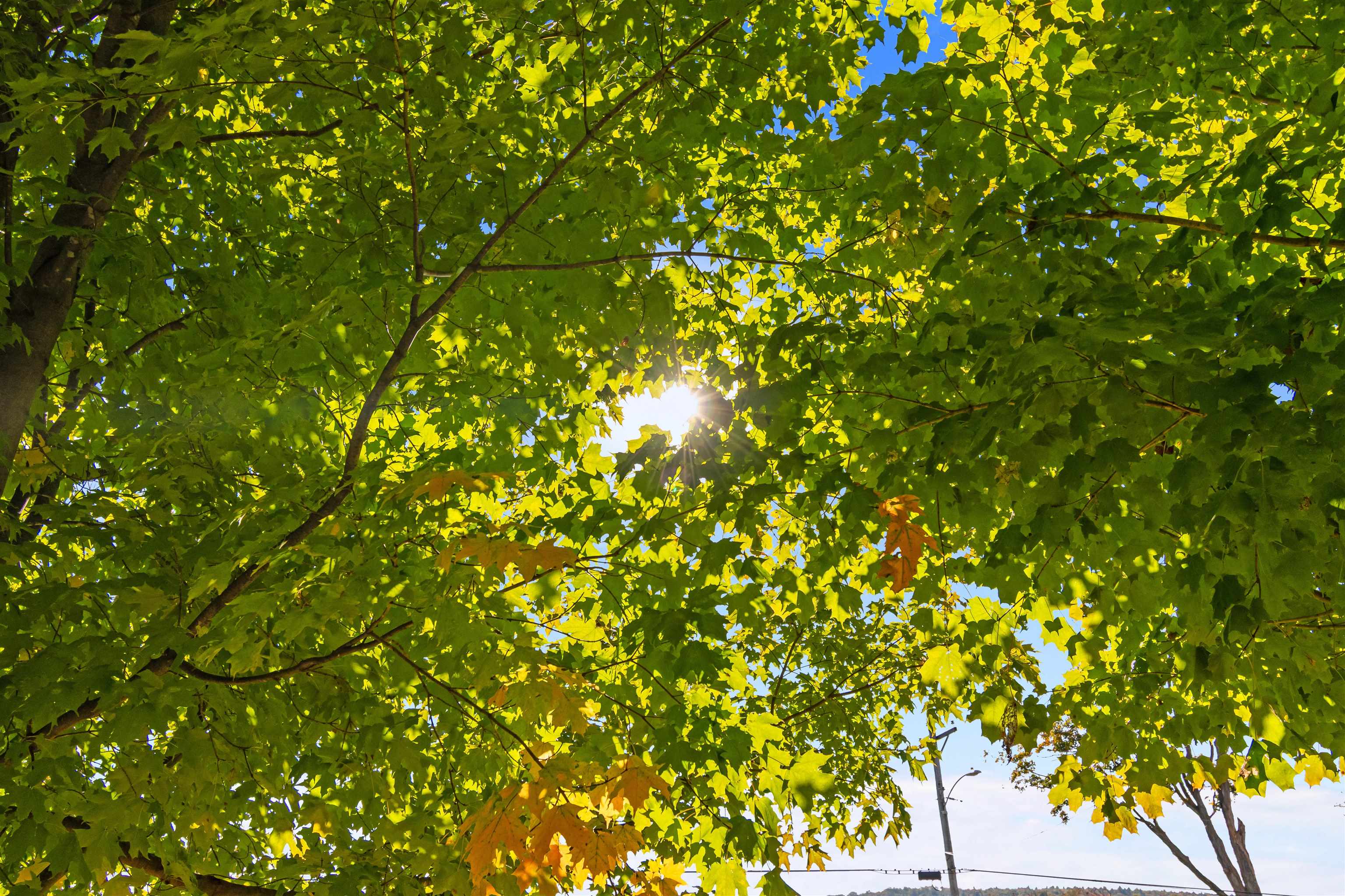 123 North Road Property Photo 60