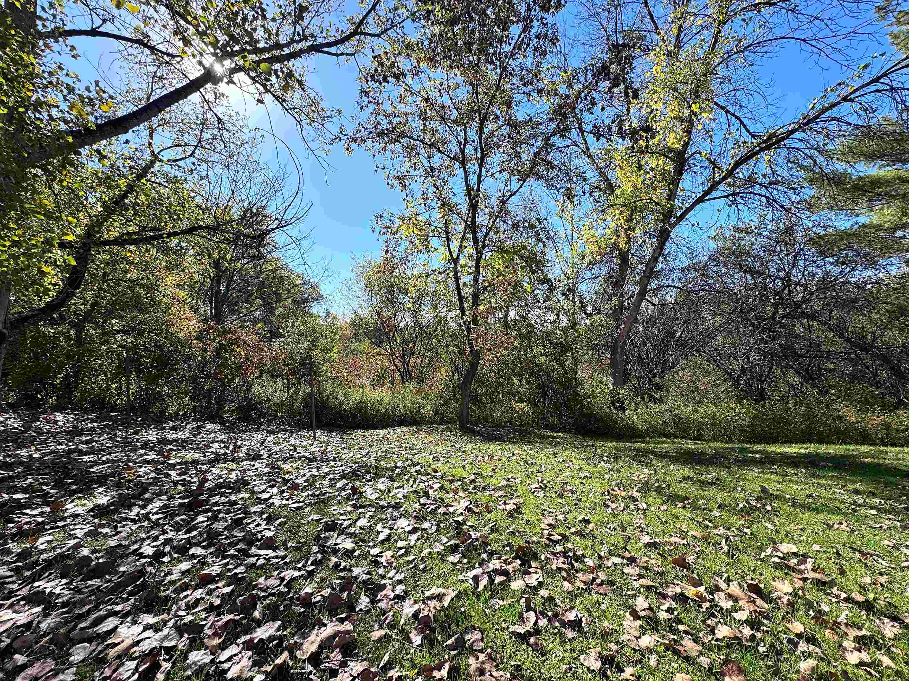 889 Overlea Road Property Photo 54