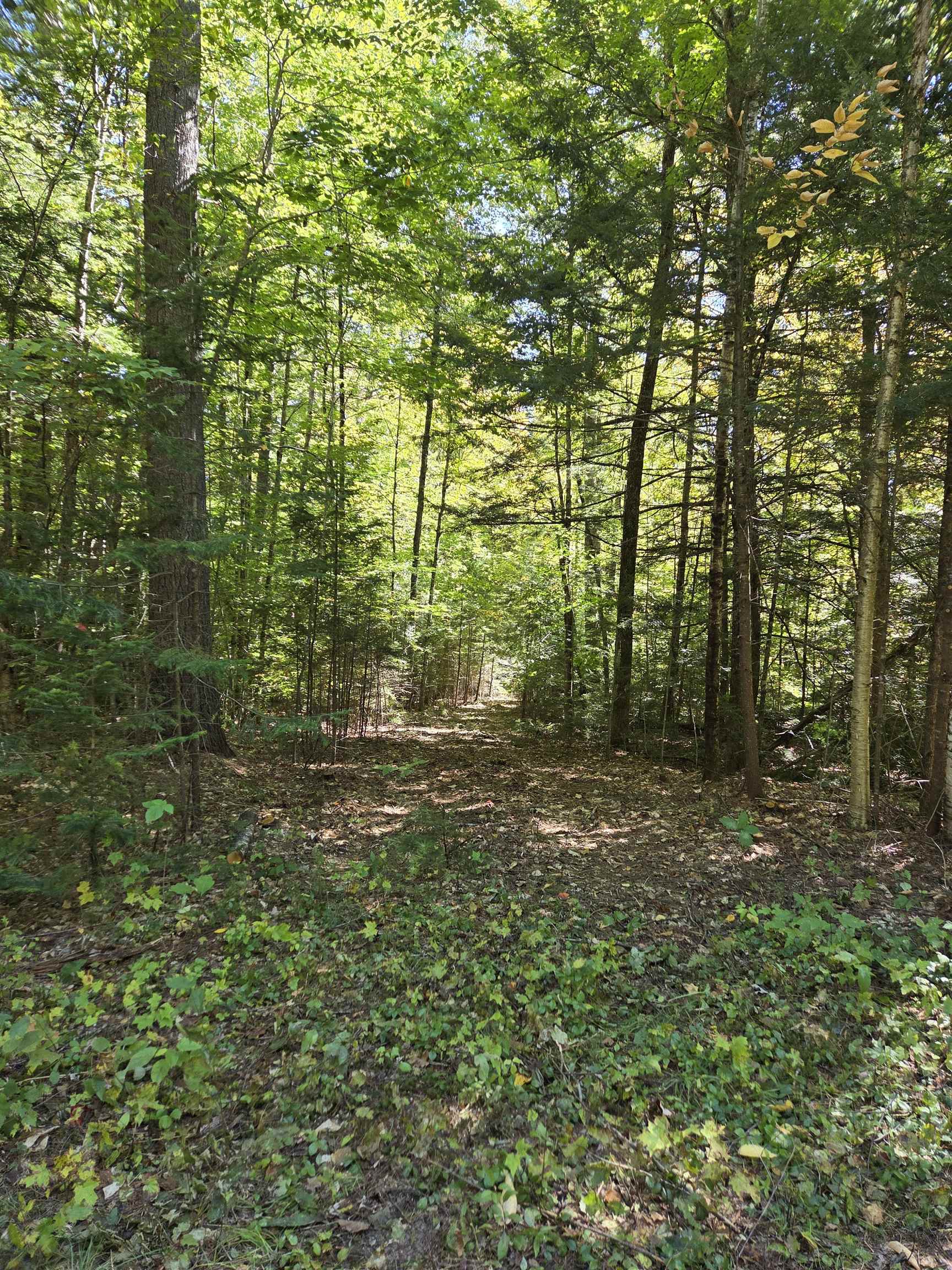 Quiet Cove Way Property Photo 1