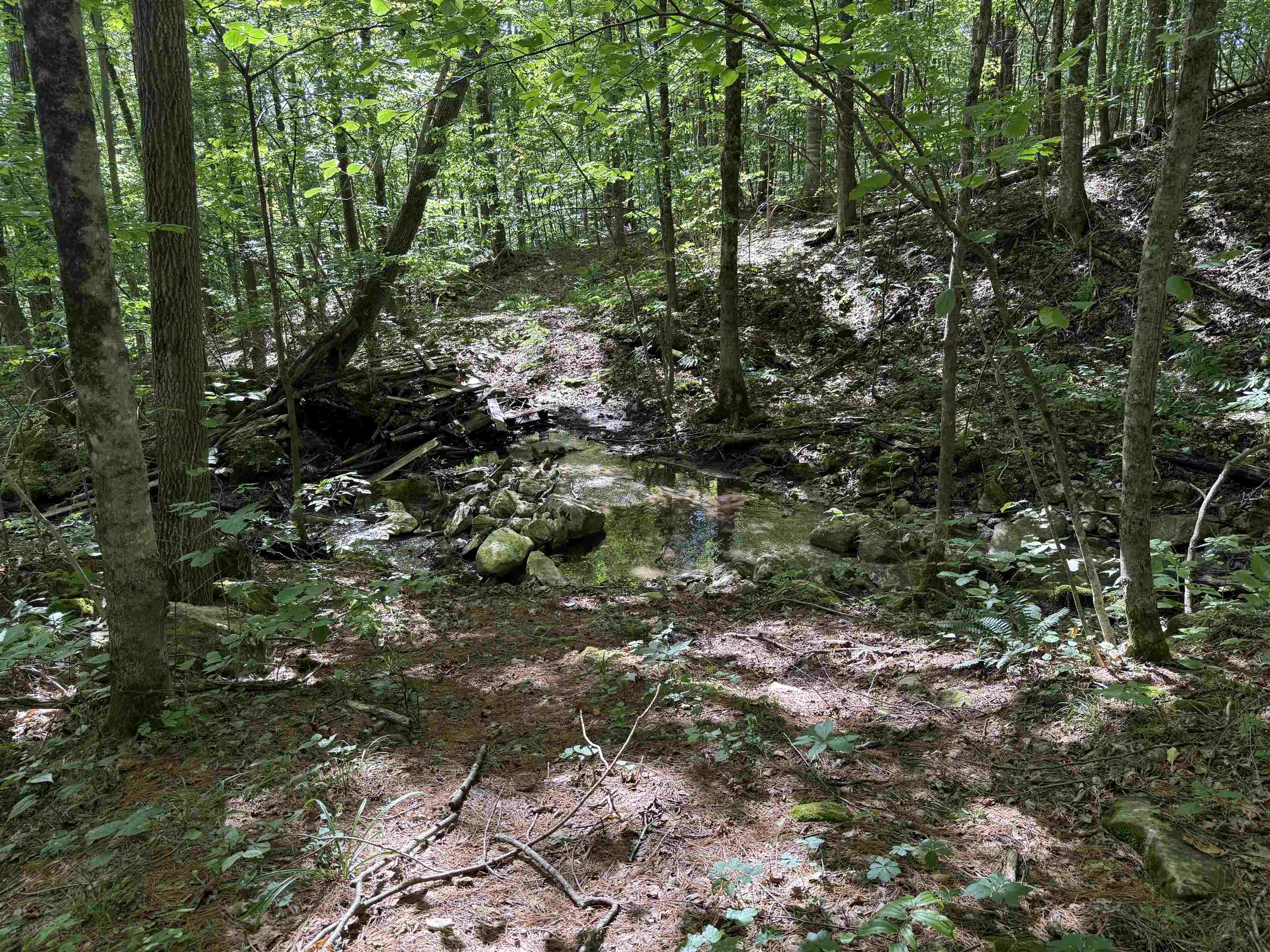 215 & 221 Vt Route 30 Property Photo 28