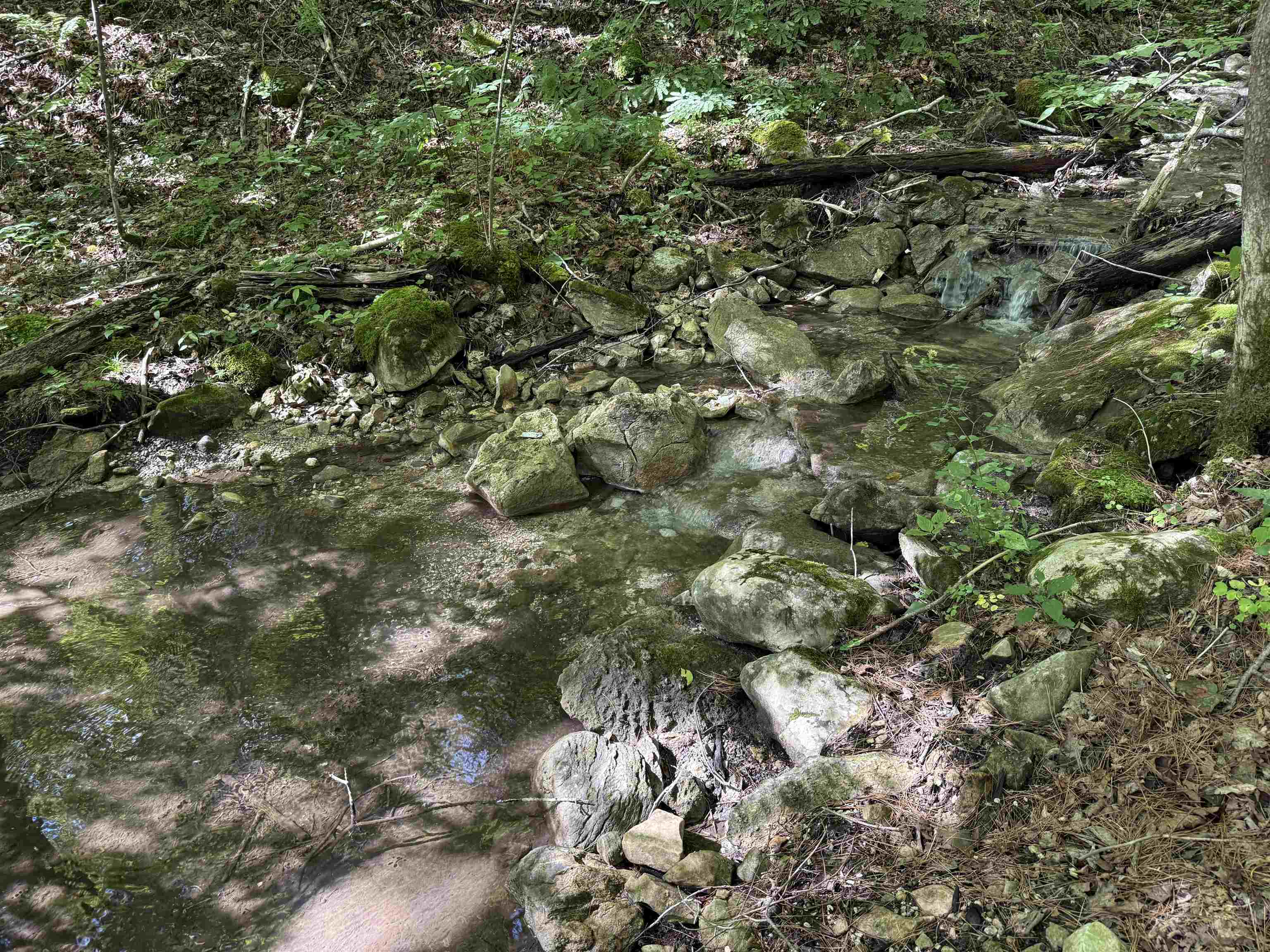 215 & 221 Vt Route 30 Property Photo 29