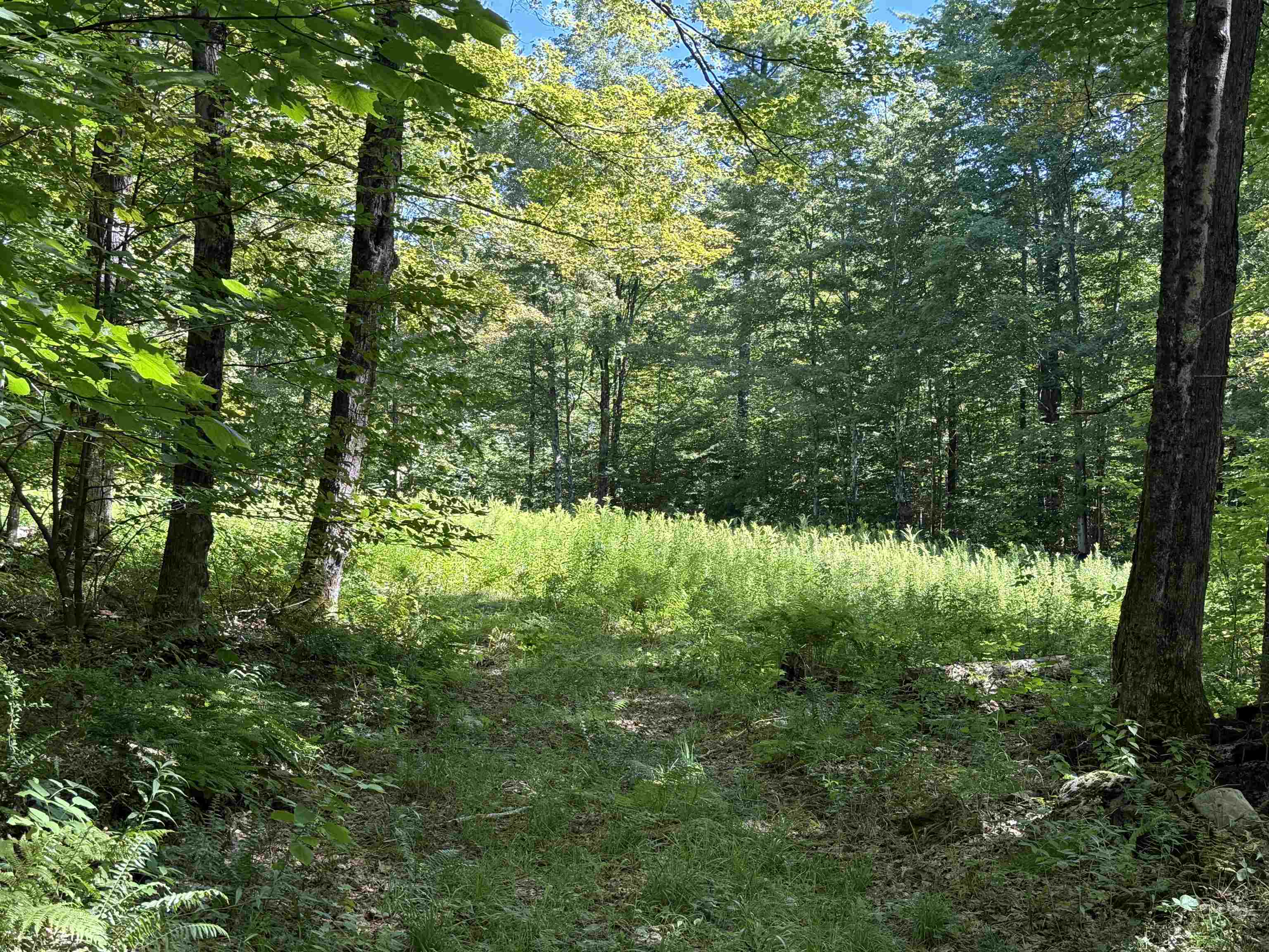 215 & 221 Vt Route 30 Property Photo 35