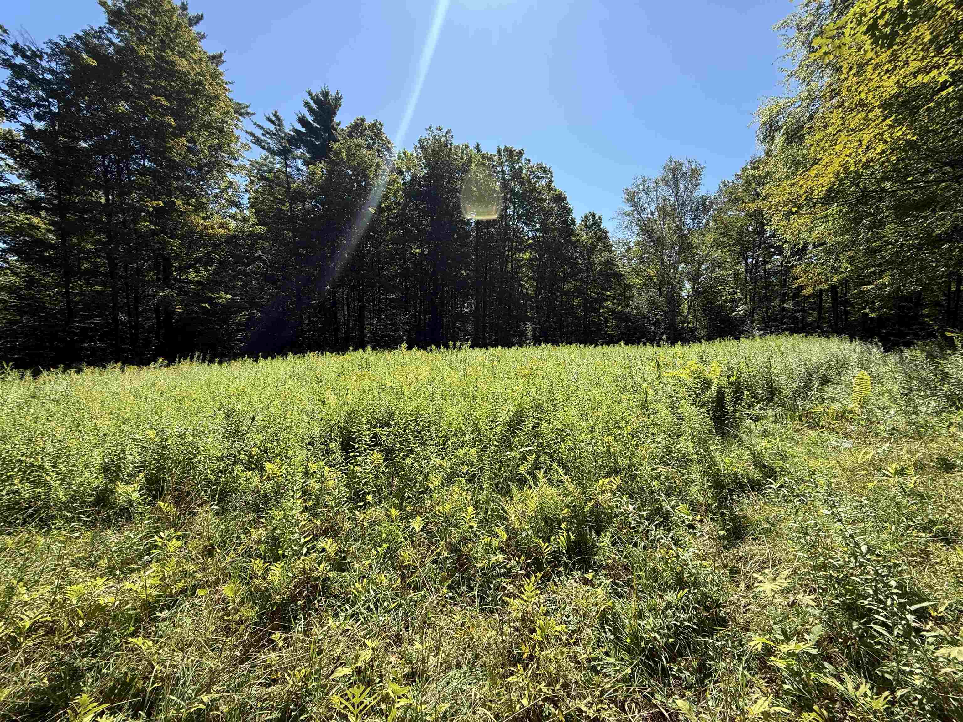 215 & 221 Vt Route 30 Property Photo 36