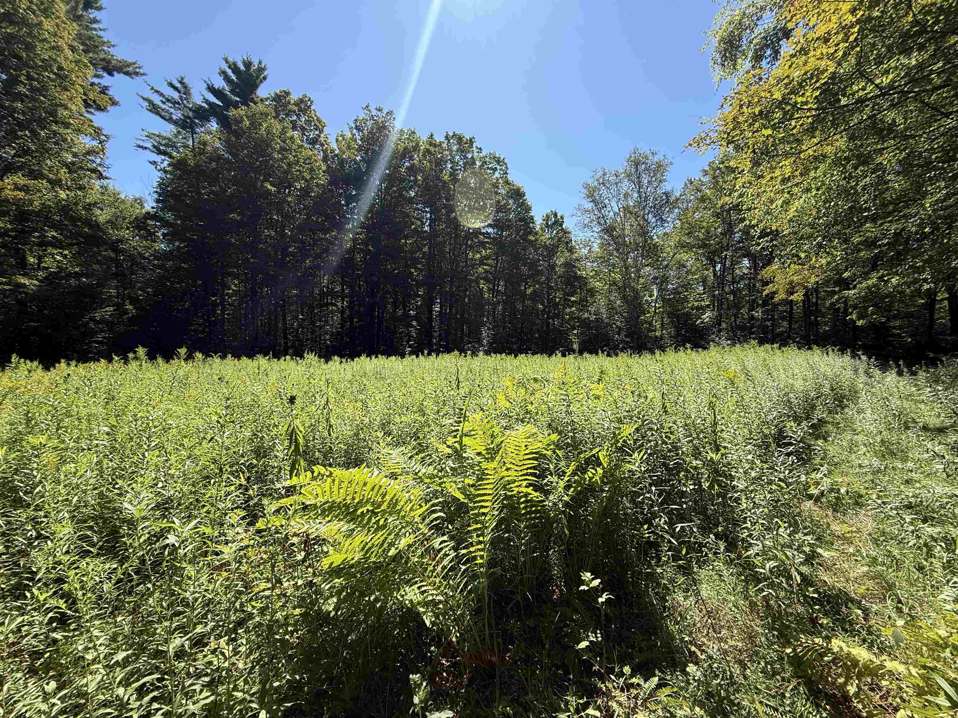 215 & 221 Vt Route 30 Property Photo 37