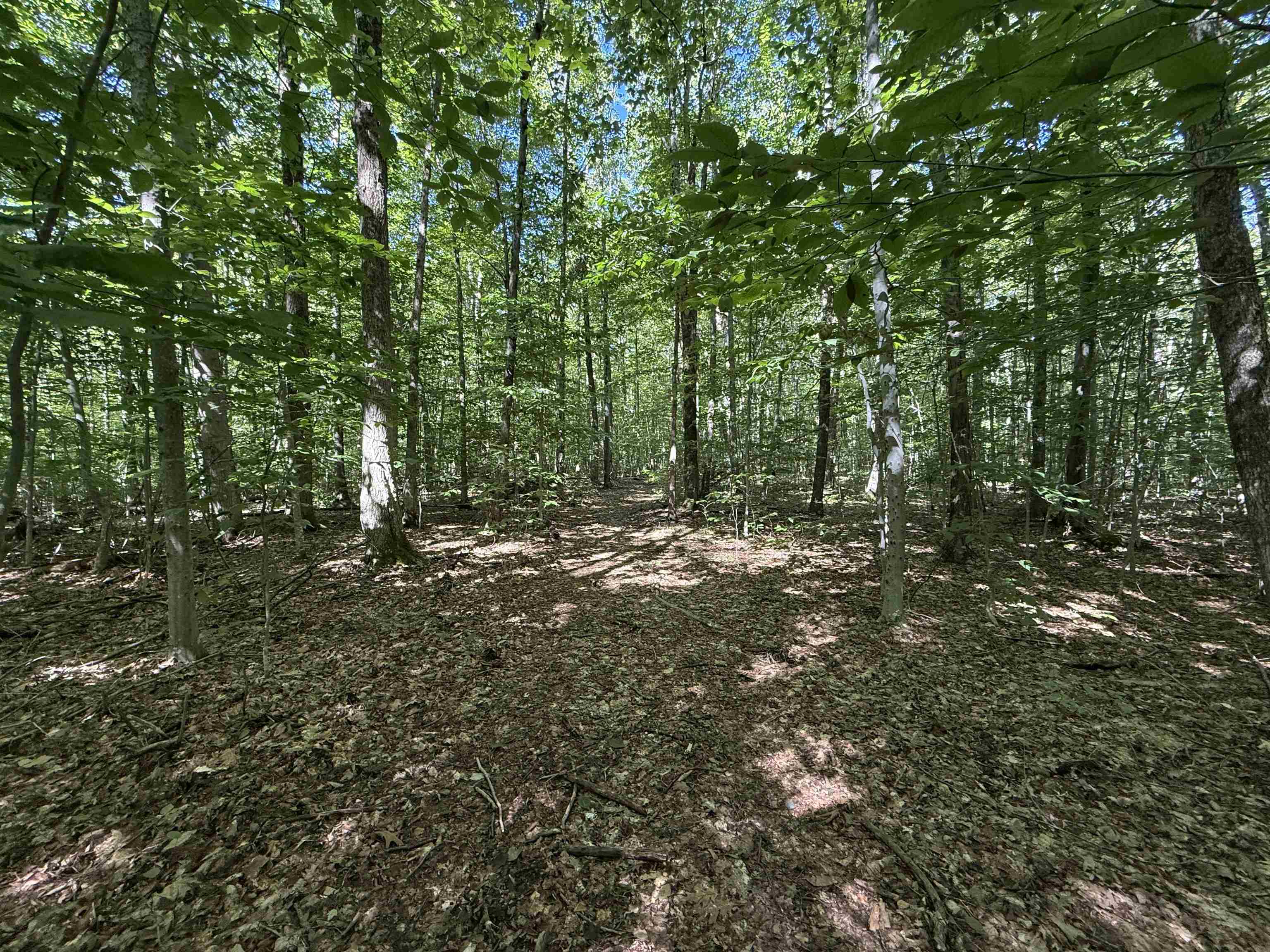 215 & 221 Vt Route 30 Property Photo 38