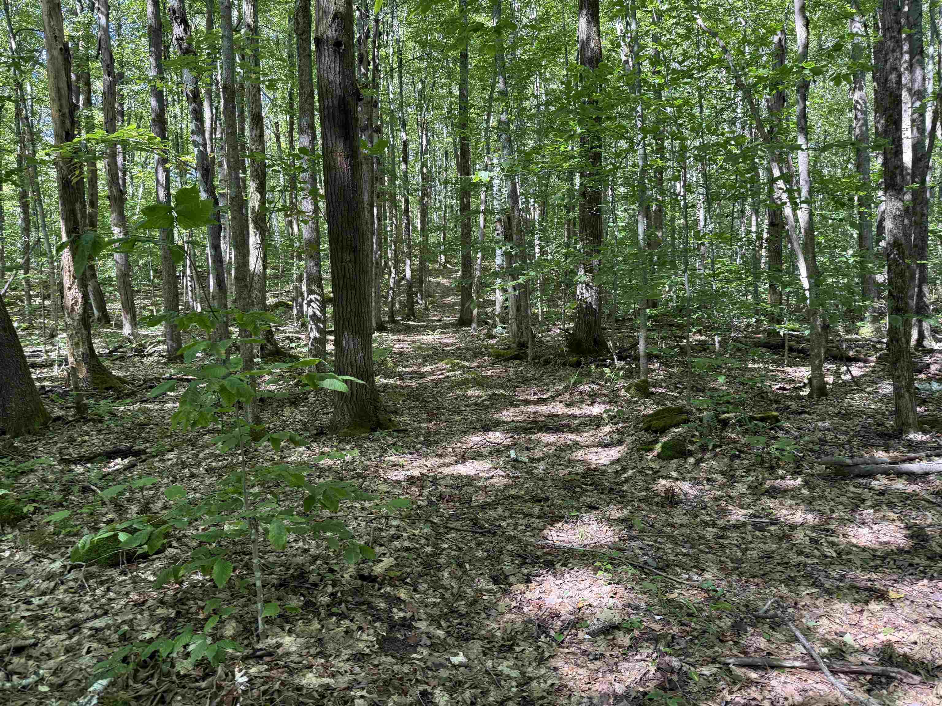 215 & 221 Vt Route 30 Property Photo 39