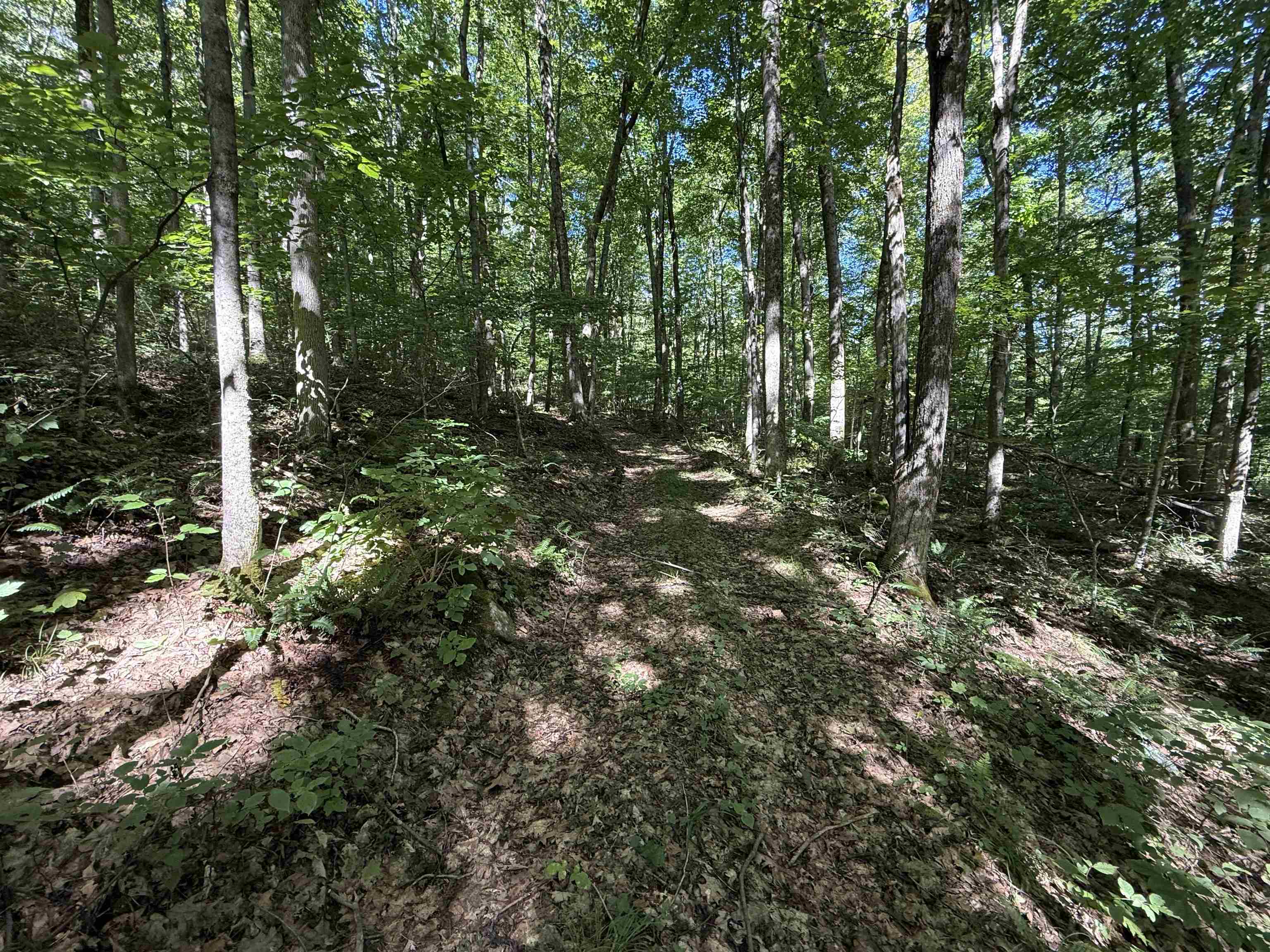 215 & 221 Vt Route 30 Property Photo 40