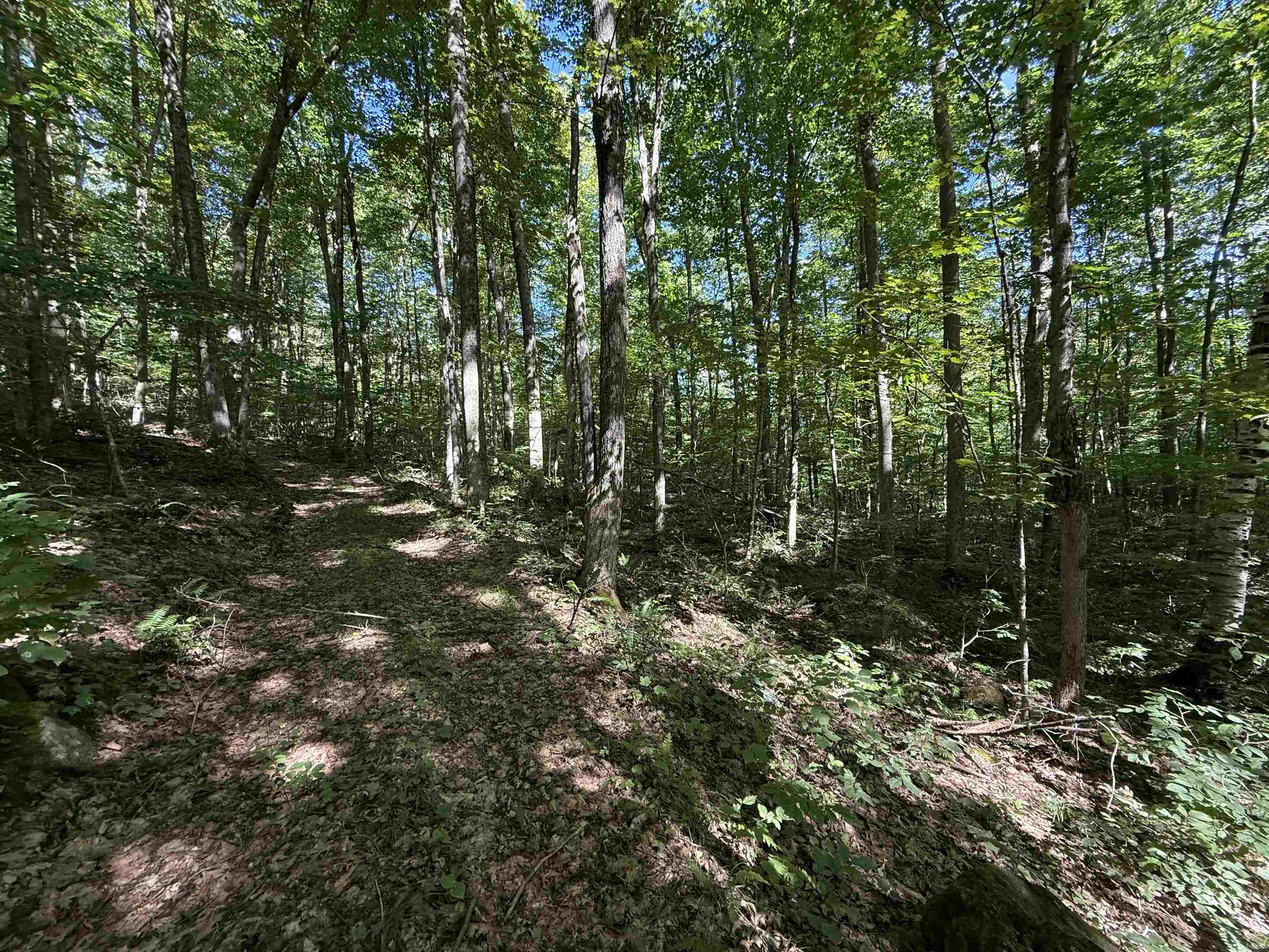 215 & 221 Vt Route 30 Property Photo 41