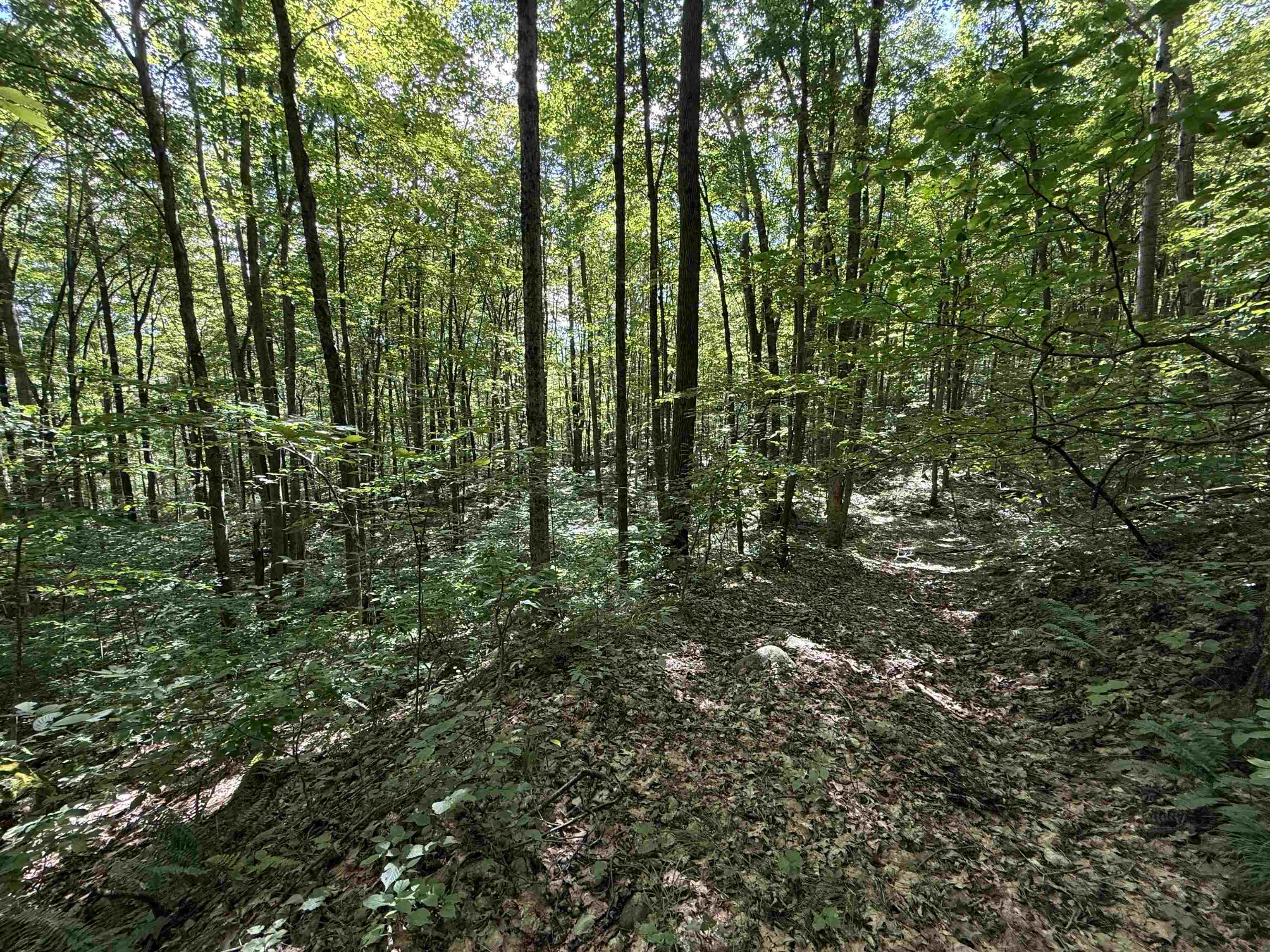 215 & 221 Vt Route 30 Property Photo 42