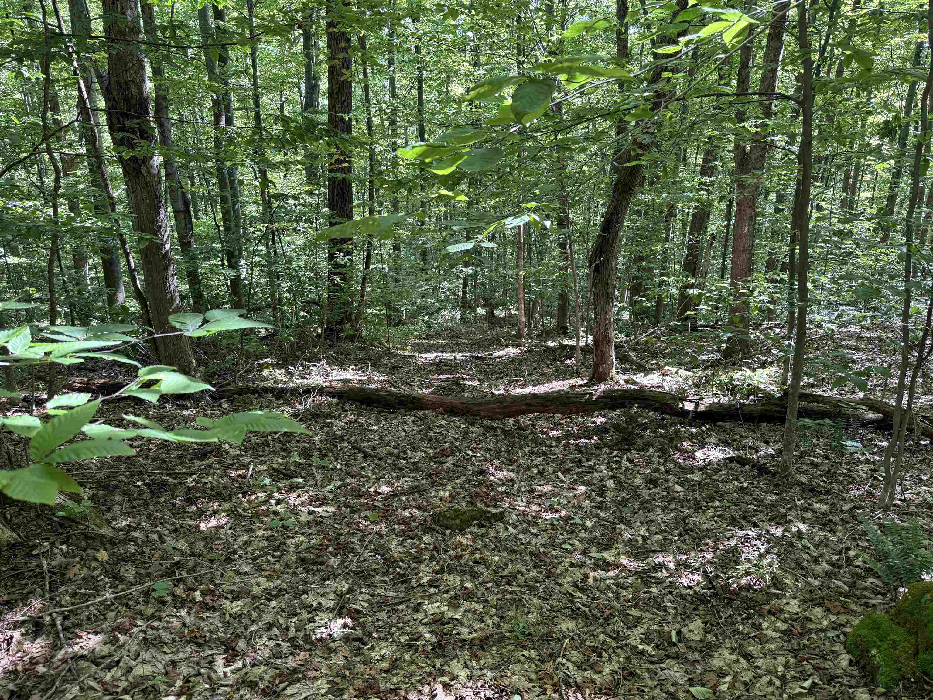 215 & 221 Vt Route 30 Property Photo 43