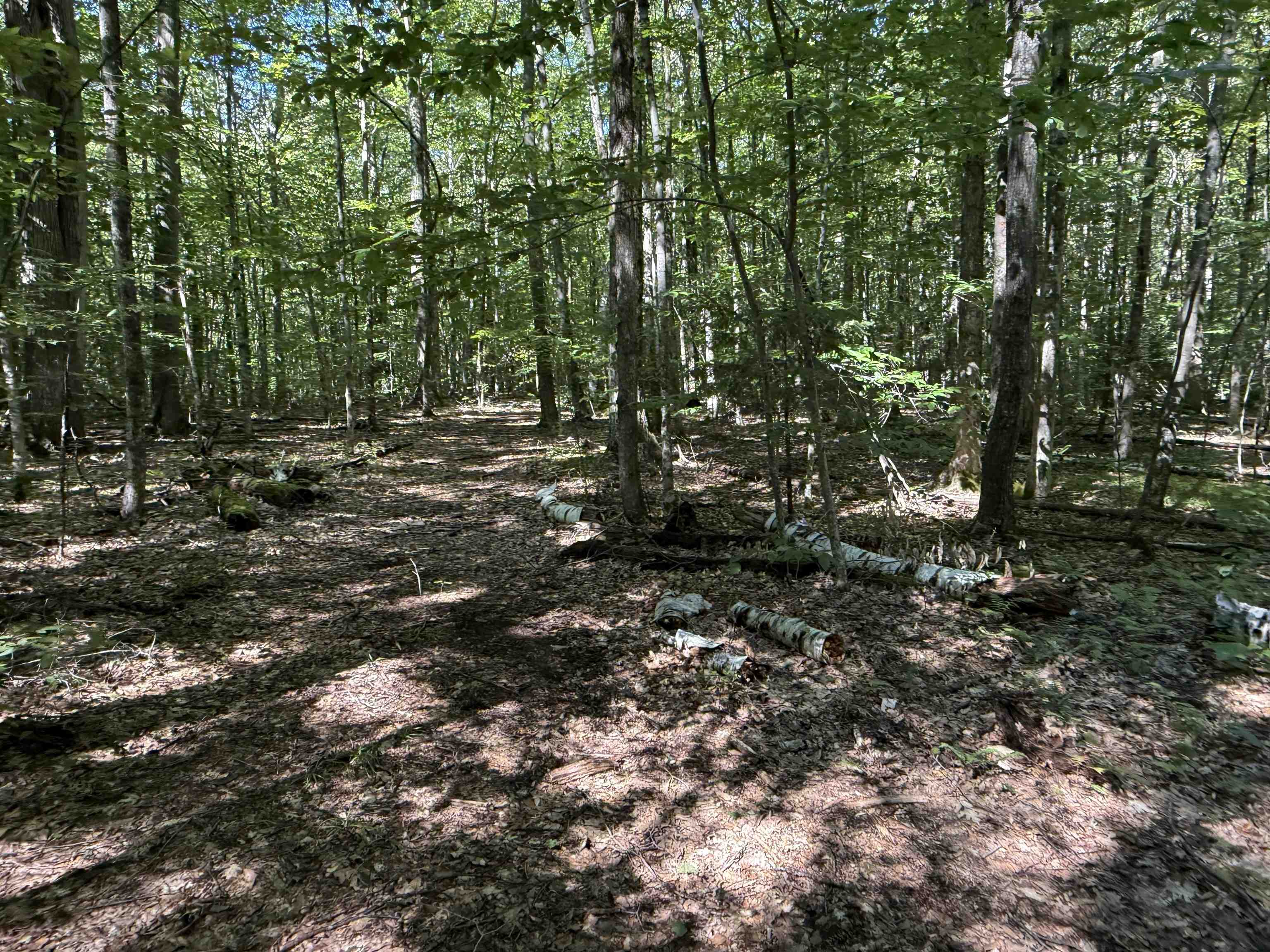 215 & 221 Vt Route 30 Property Photo 44