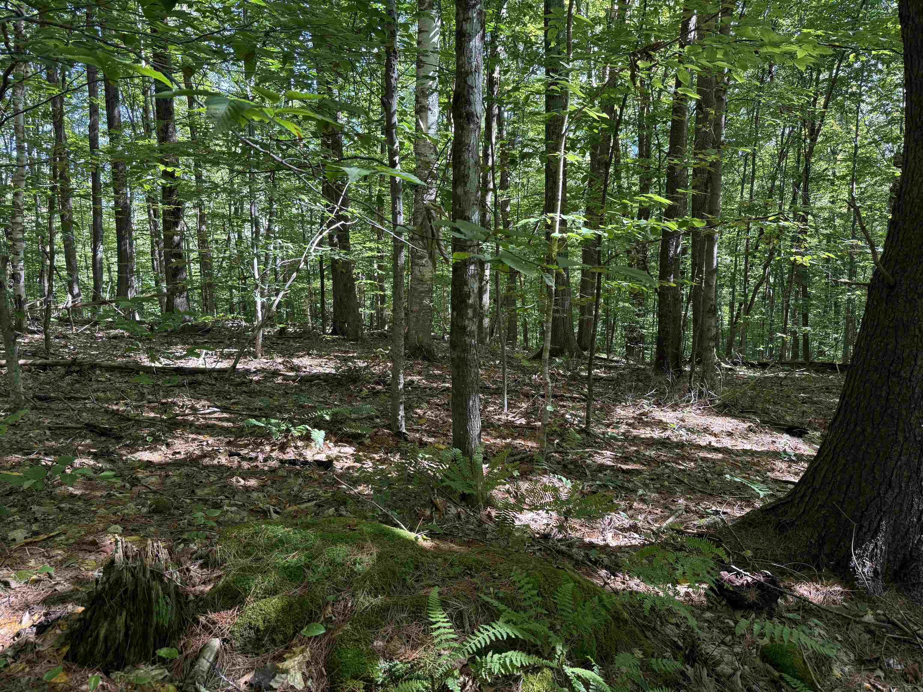 215 & 221 Vt Route 30 Property Photo 49