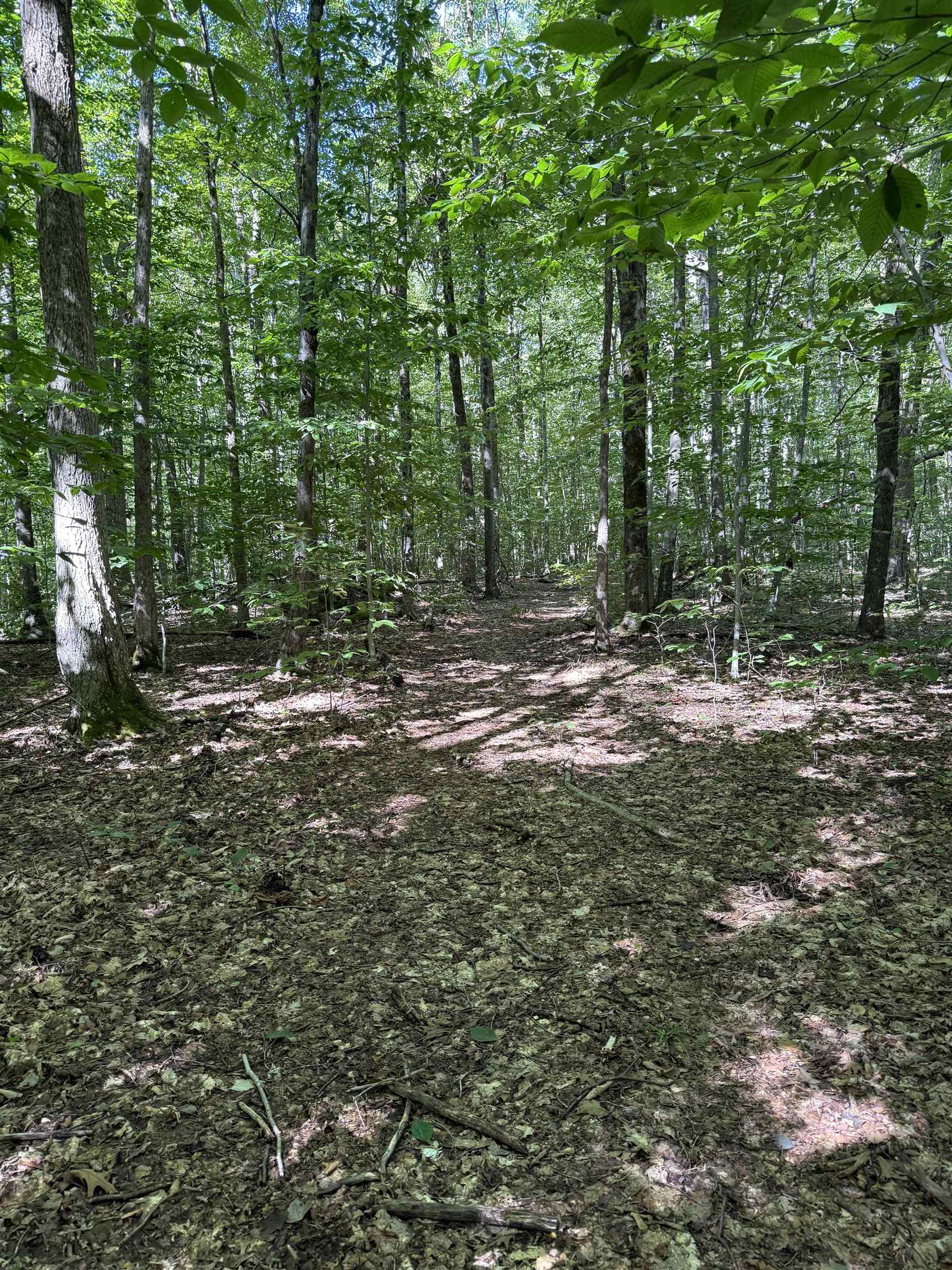 215 & 221 Vt Route 30 Property Photo 51