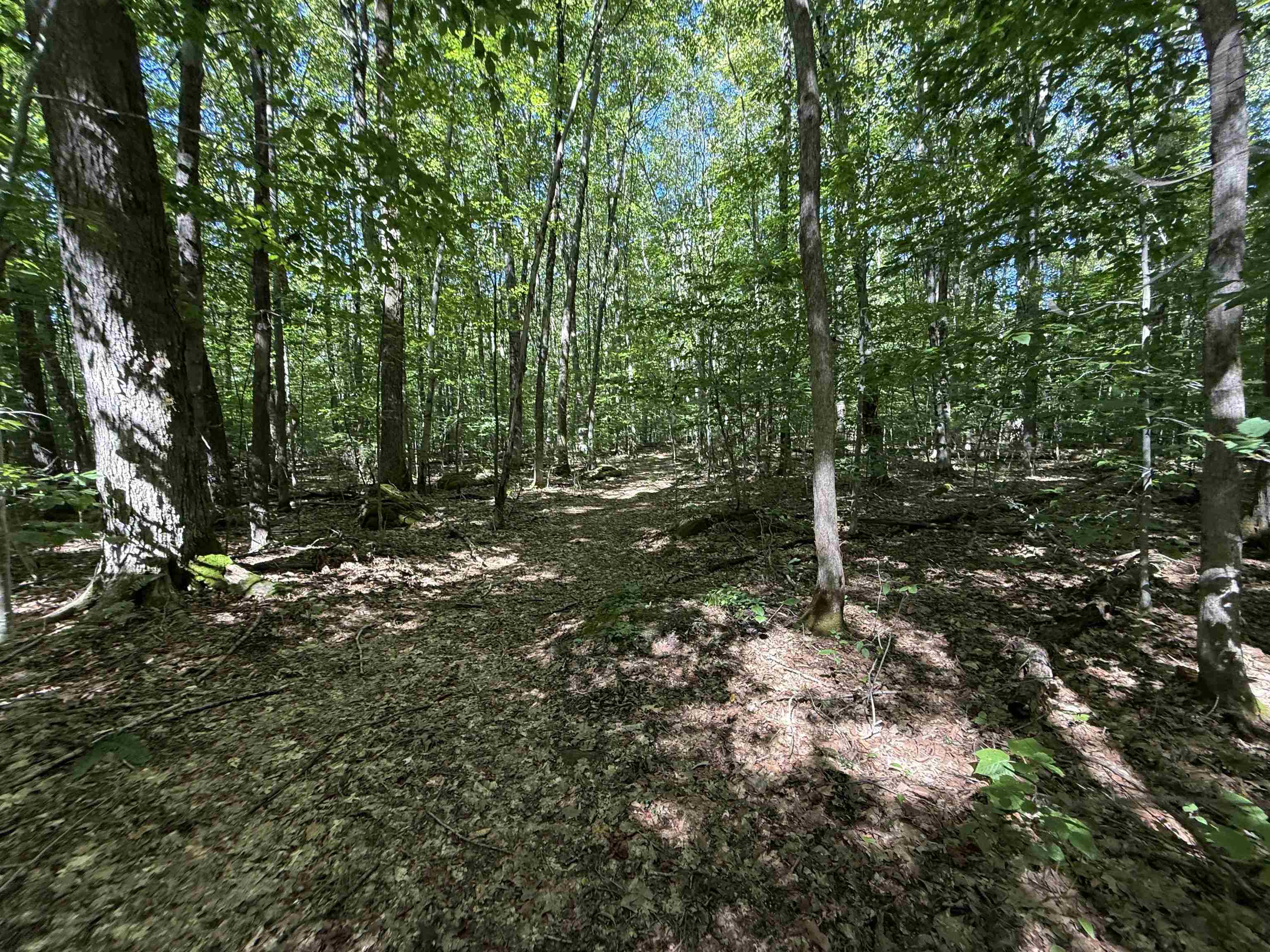 215 & 221 Vt Route 30 Property Photo 52