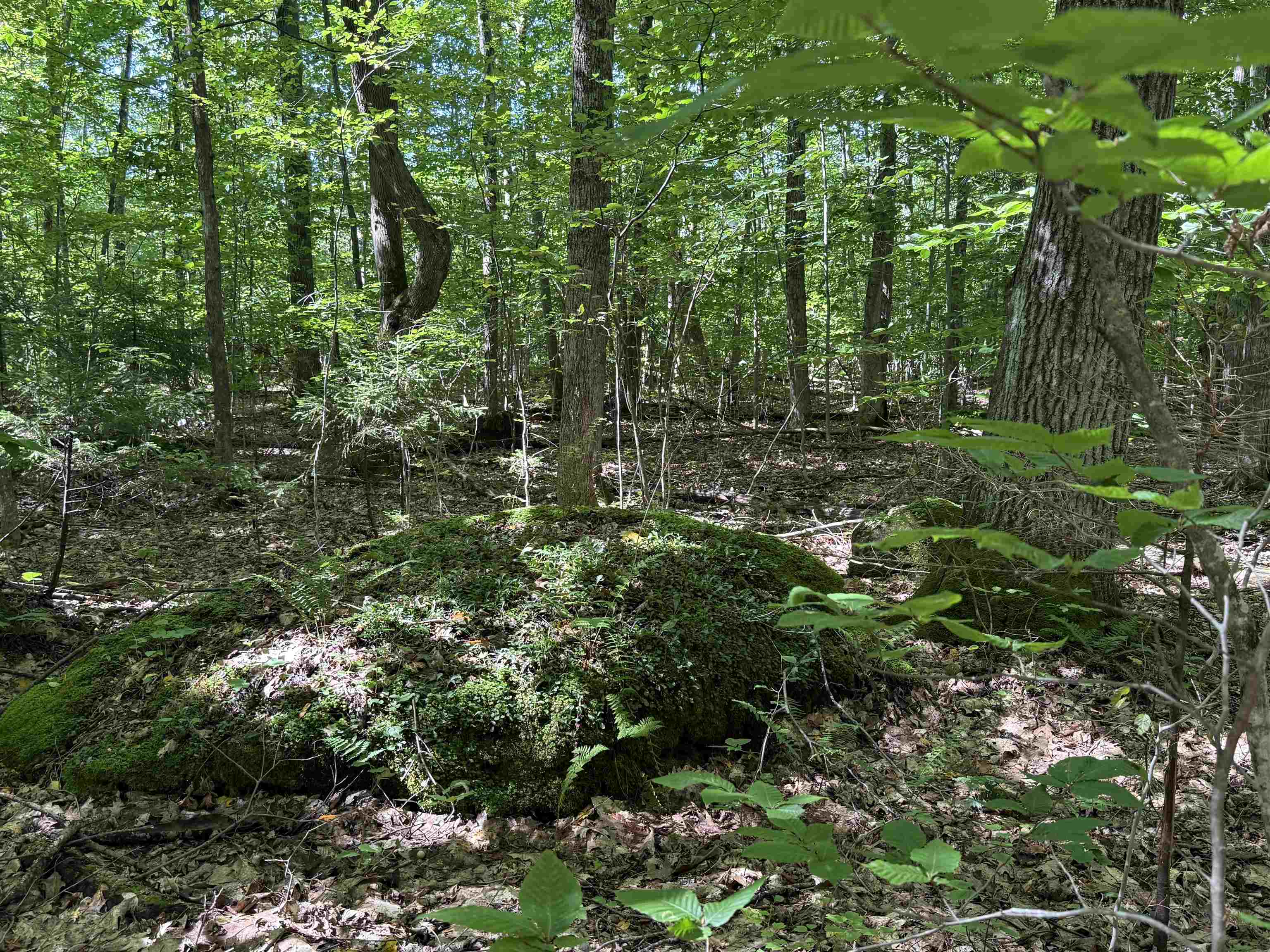 215 & 221 Vt Route 30 Property Photo 53
