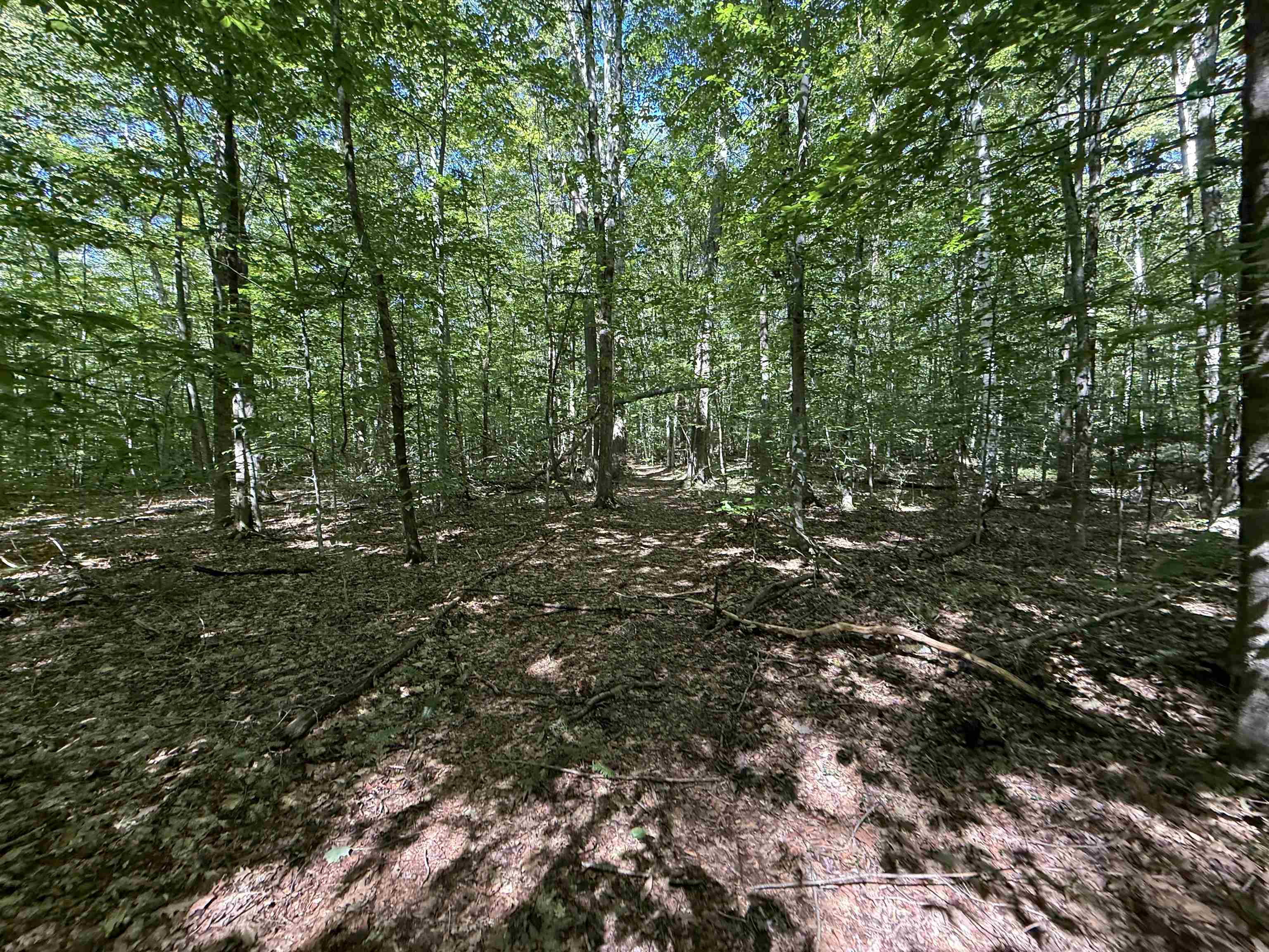 215 & 221 Vt Route 30 Property Photo 54