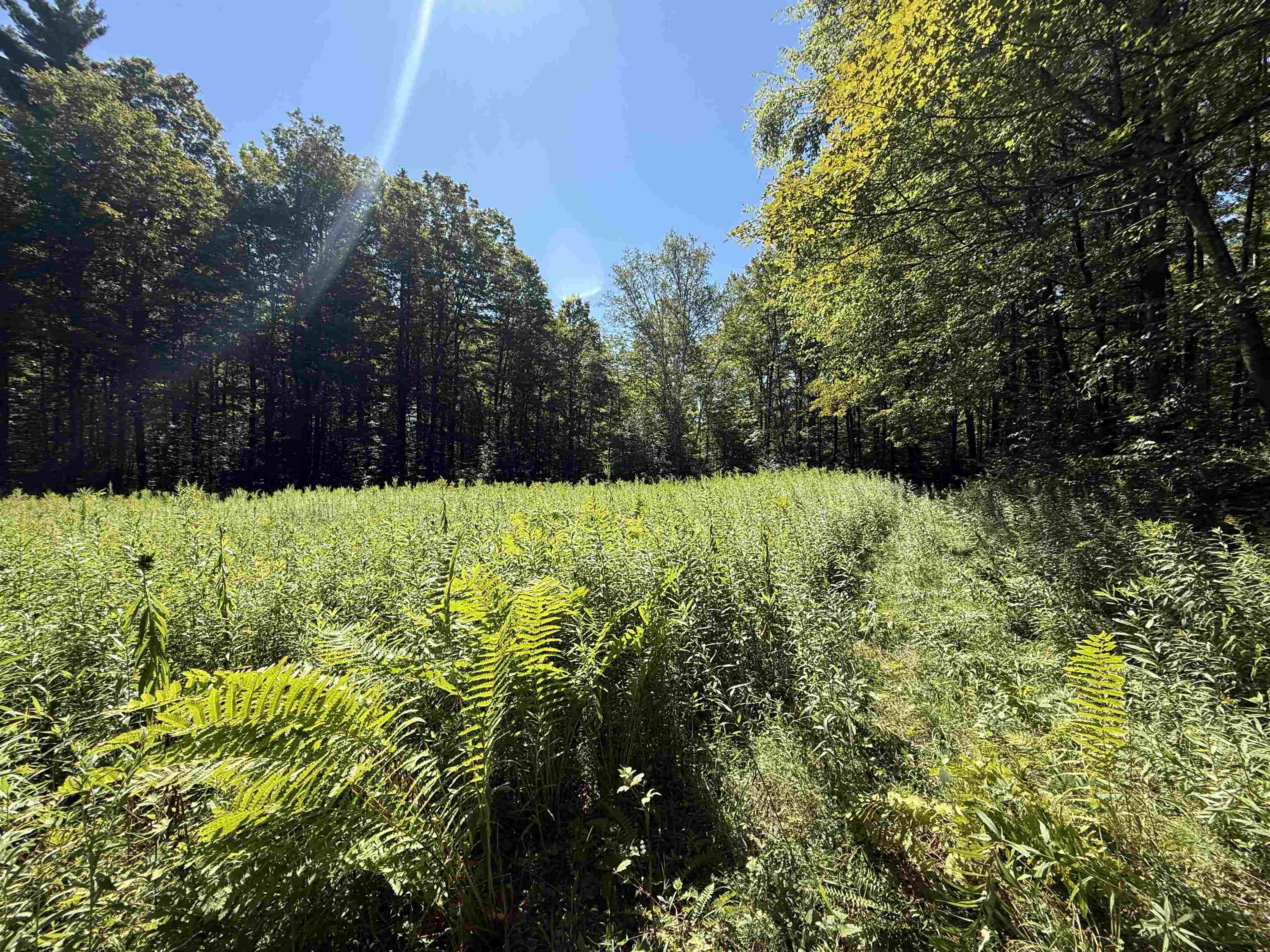 215 & 221 Vt Route 30 Property Photo 55
