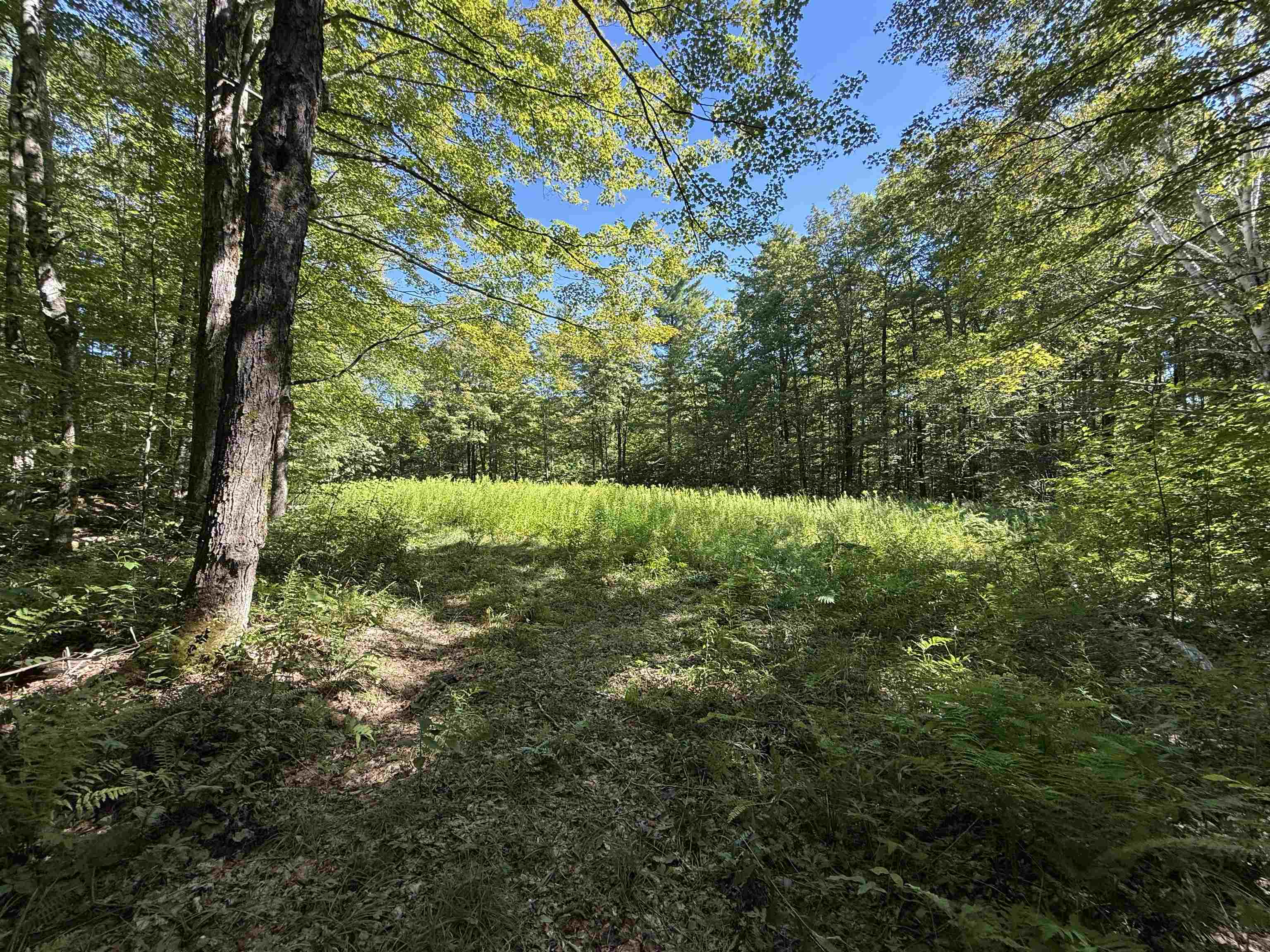 215 & 221 Vt Route 30 Property Photo 56