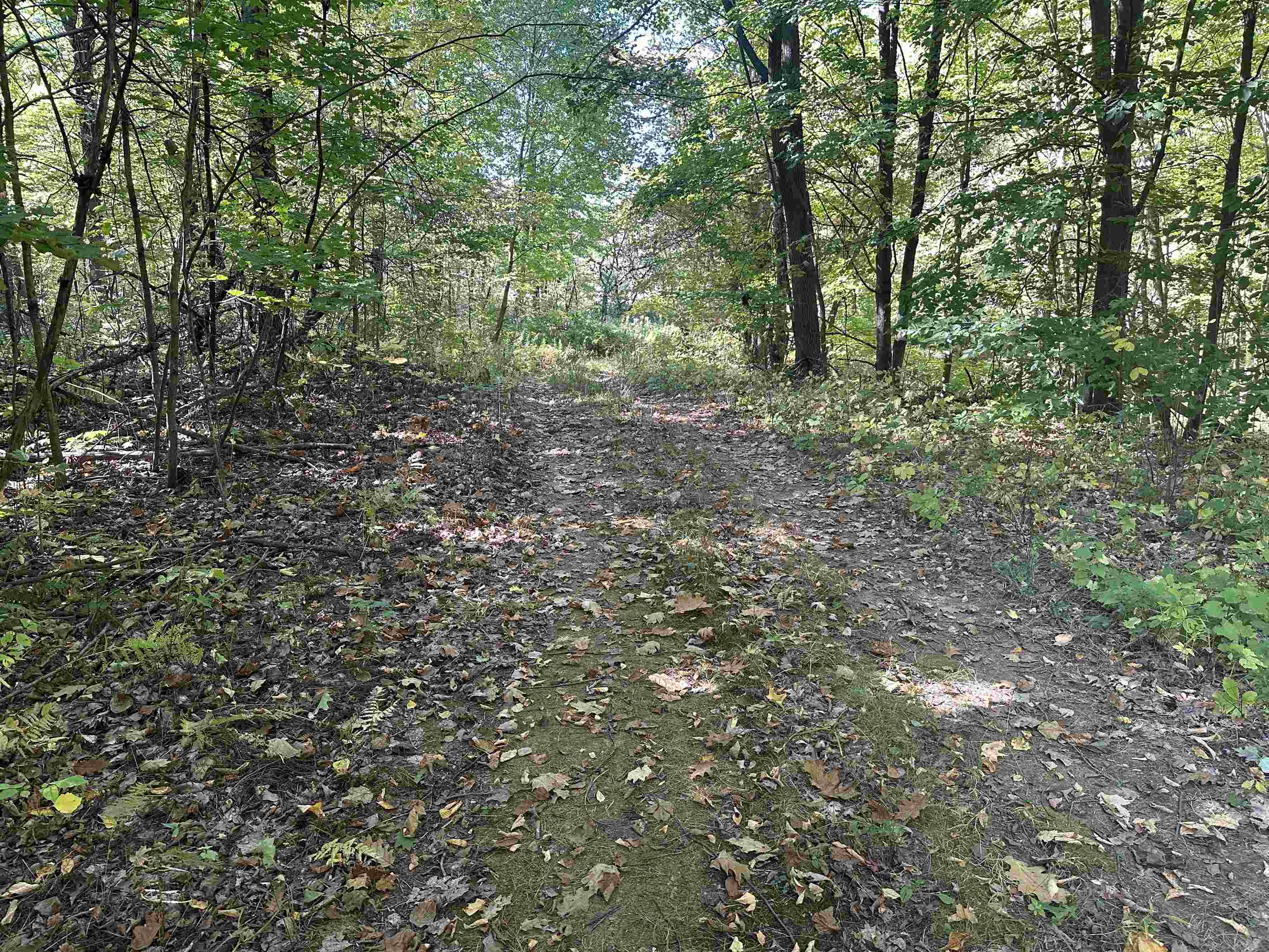 0 North Road Property Photo 24