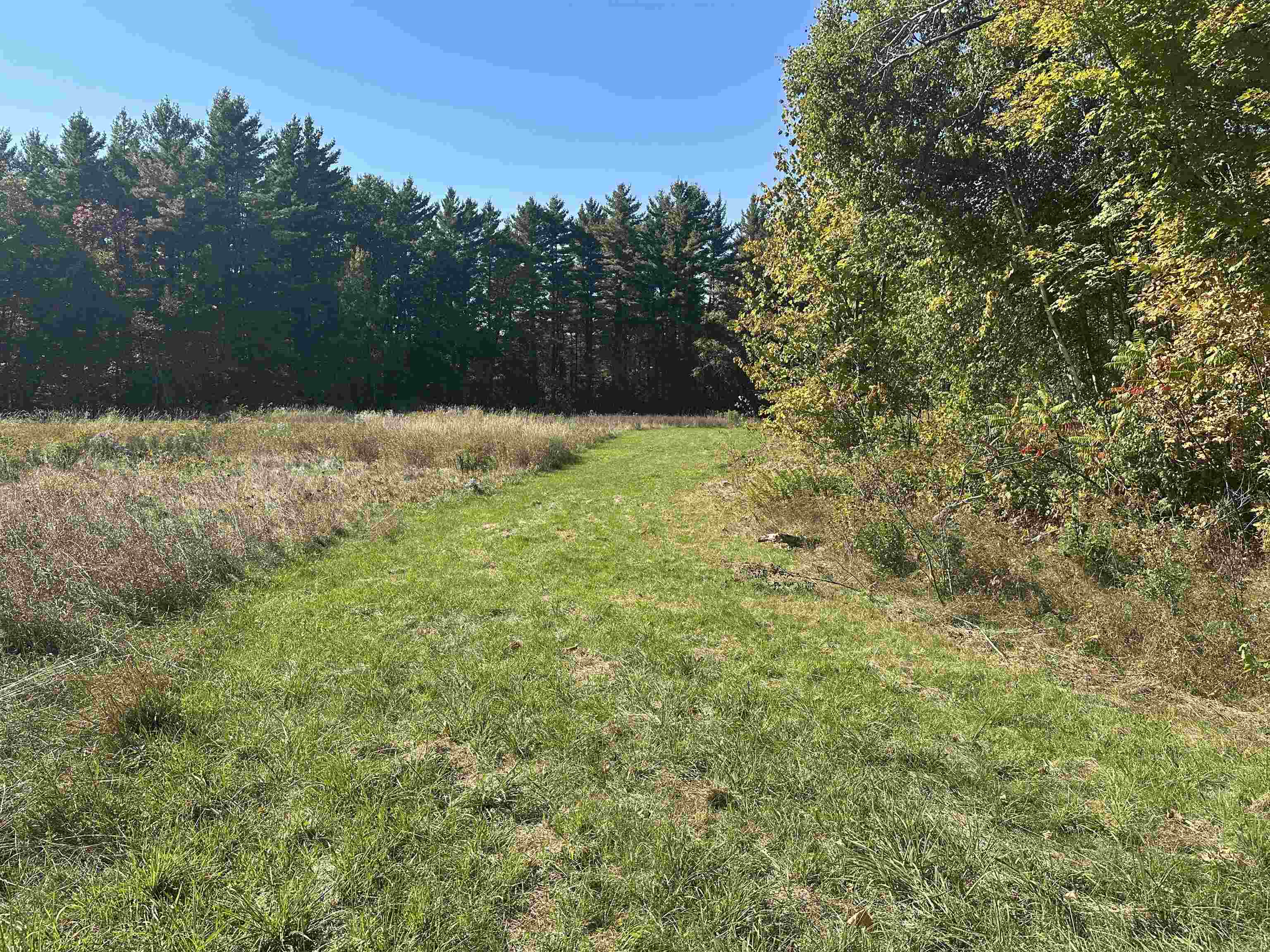 0 North Road Property Photo 31