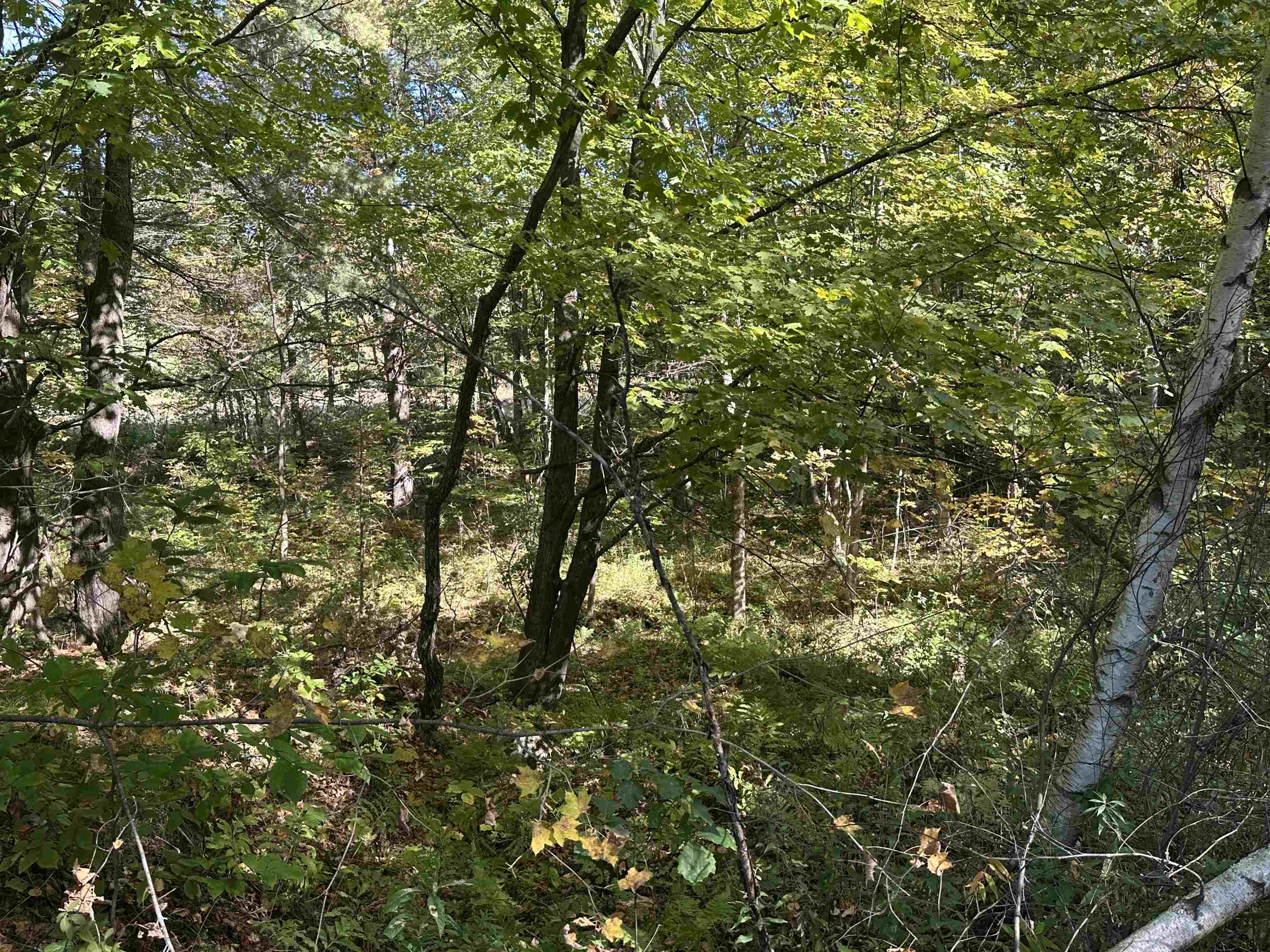 0 North Road Property Photo 36