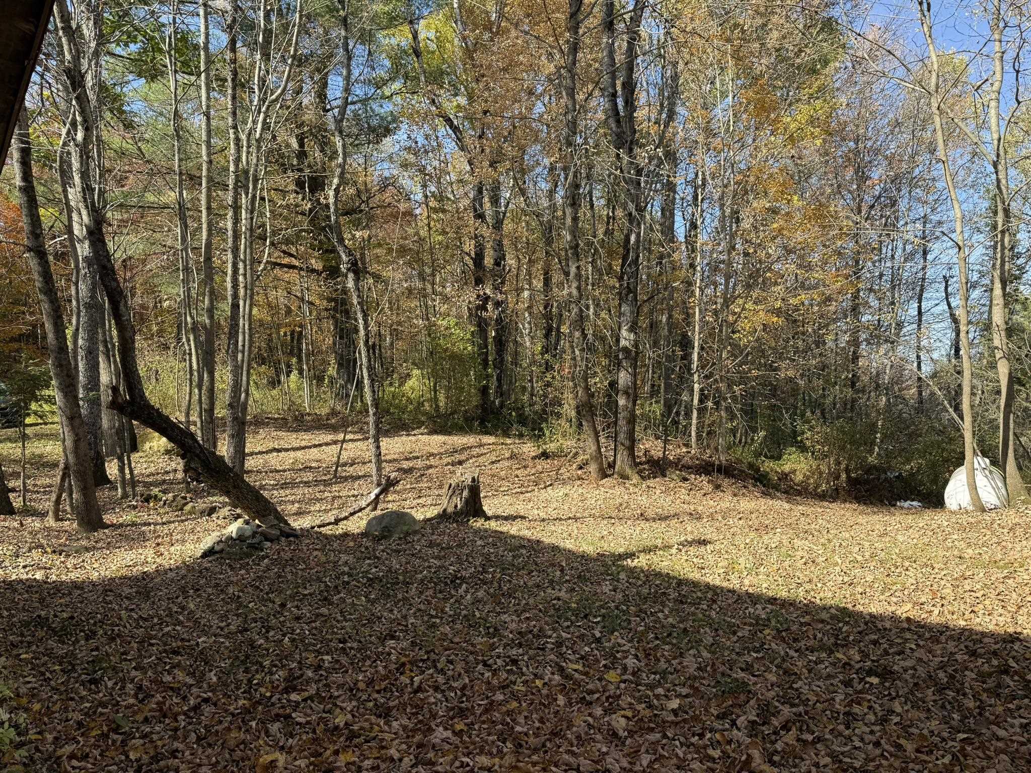 97 Courchaine Farm Road Property Photo 3