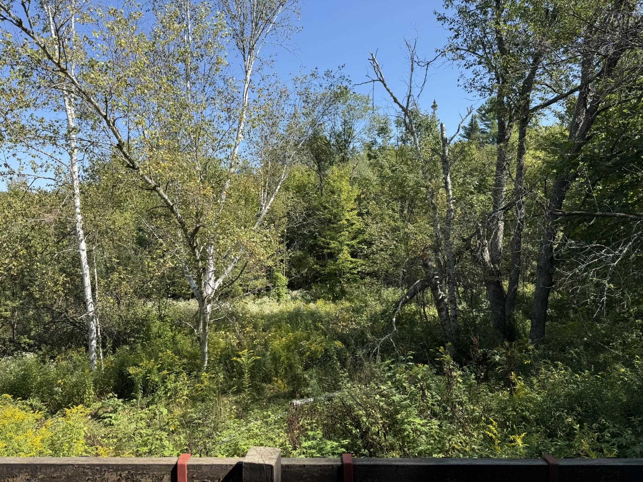 97 Courchaine Farm Road Property Photo 38