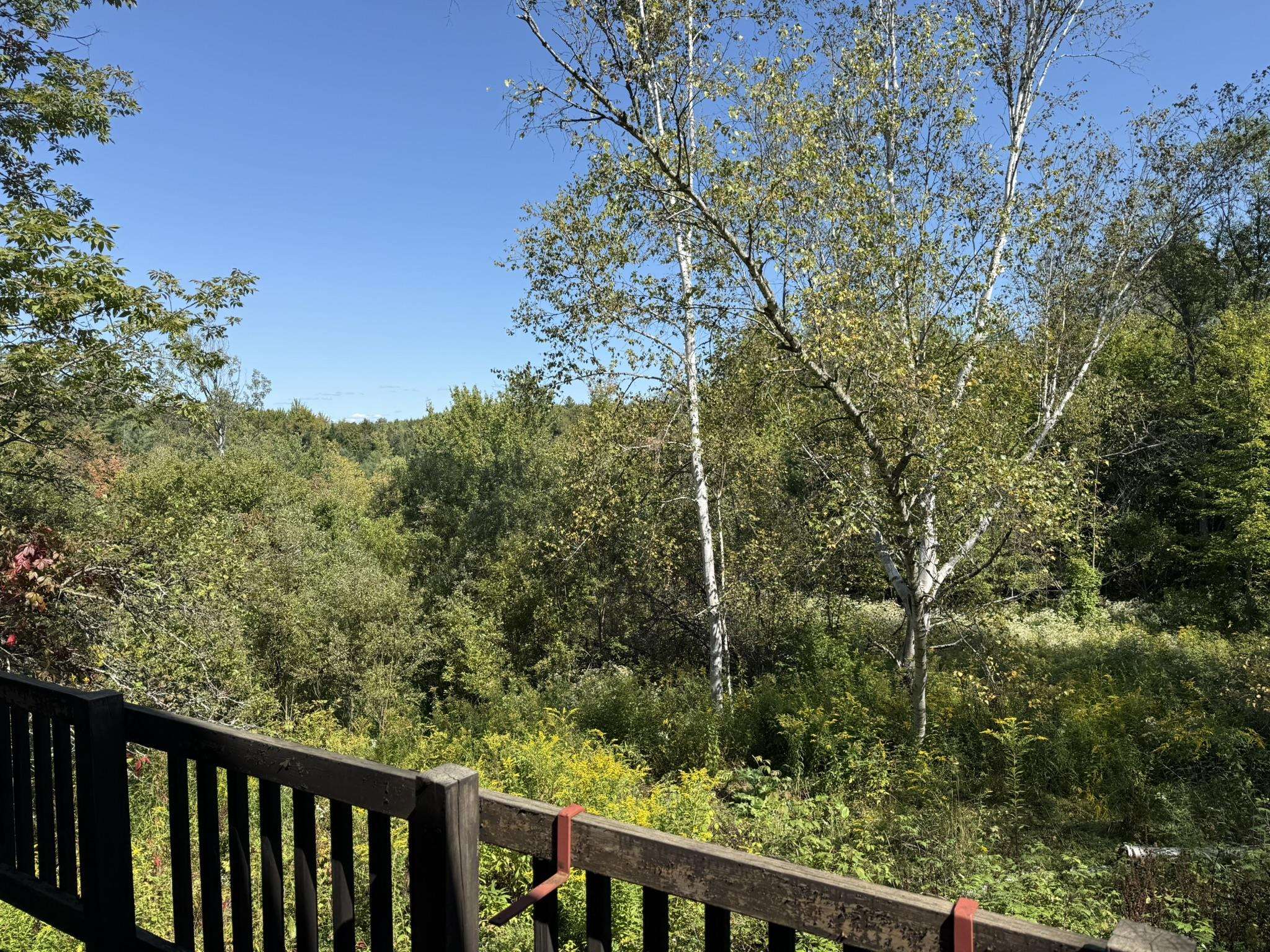 97 Courchaine Farm Road Property Photo 39