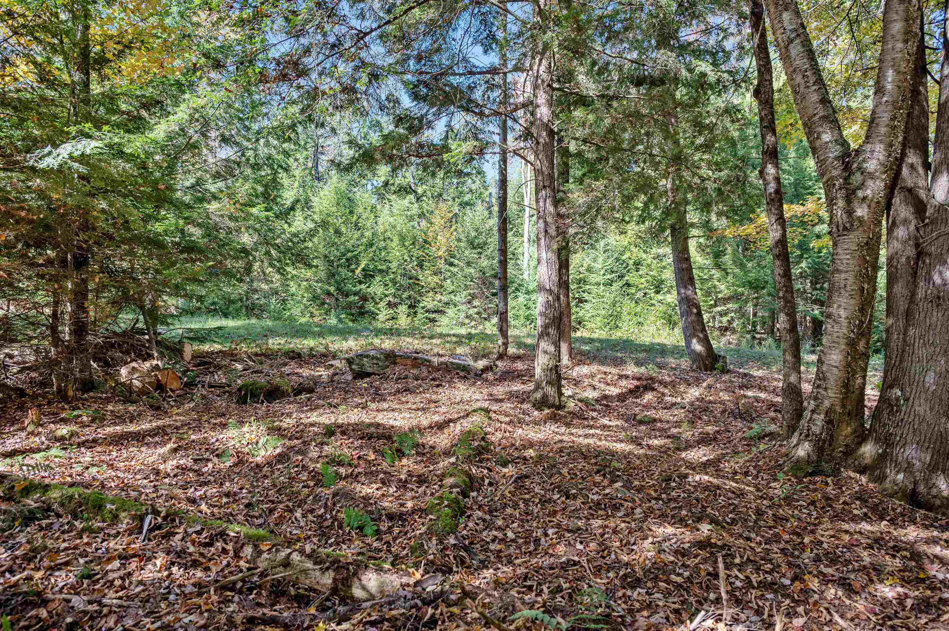 442 Vt Route 12 Property Photo 1