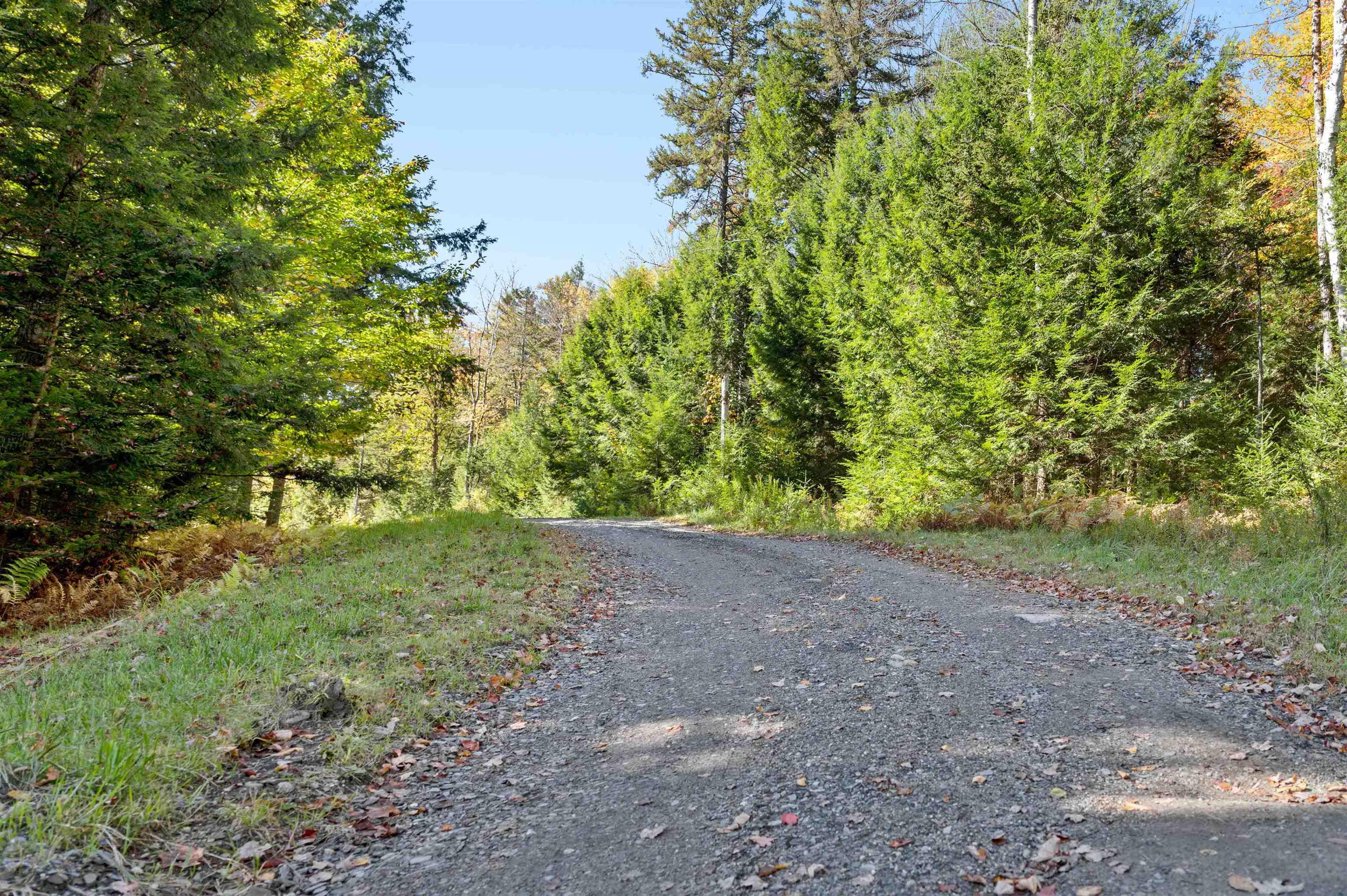 442 Vt Route 12 Property Photo 2