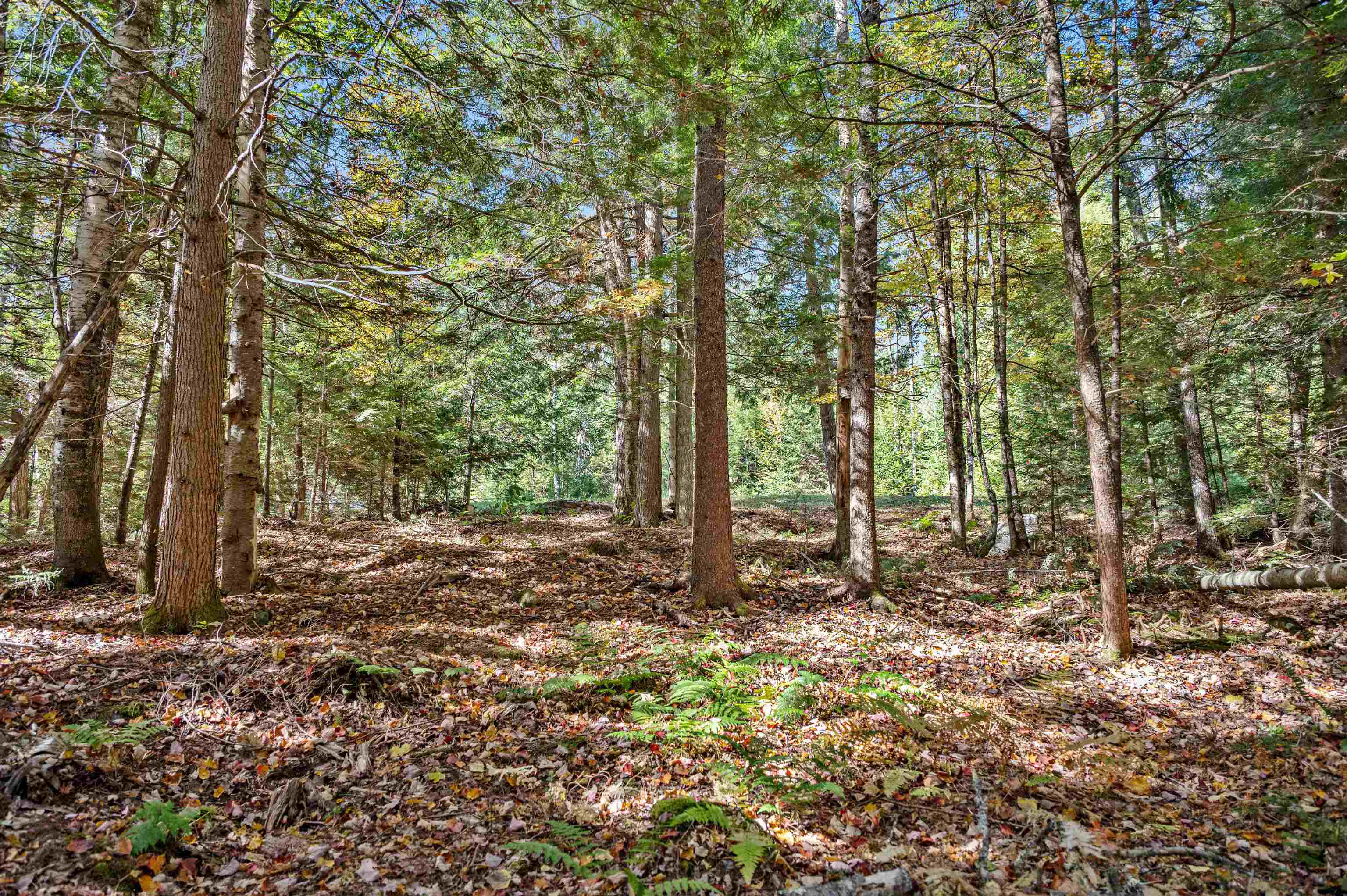 442 Vt Route 12 Property Photo 3