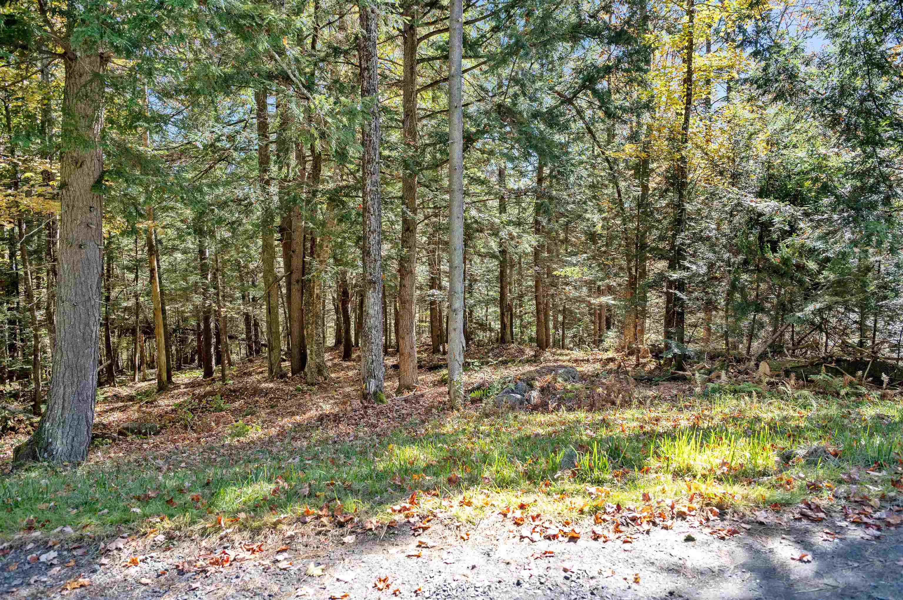 442 Vt Route 12 Property Photo 4