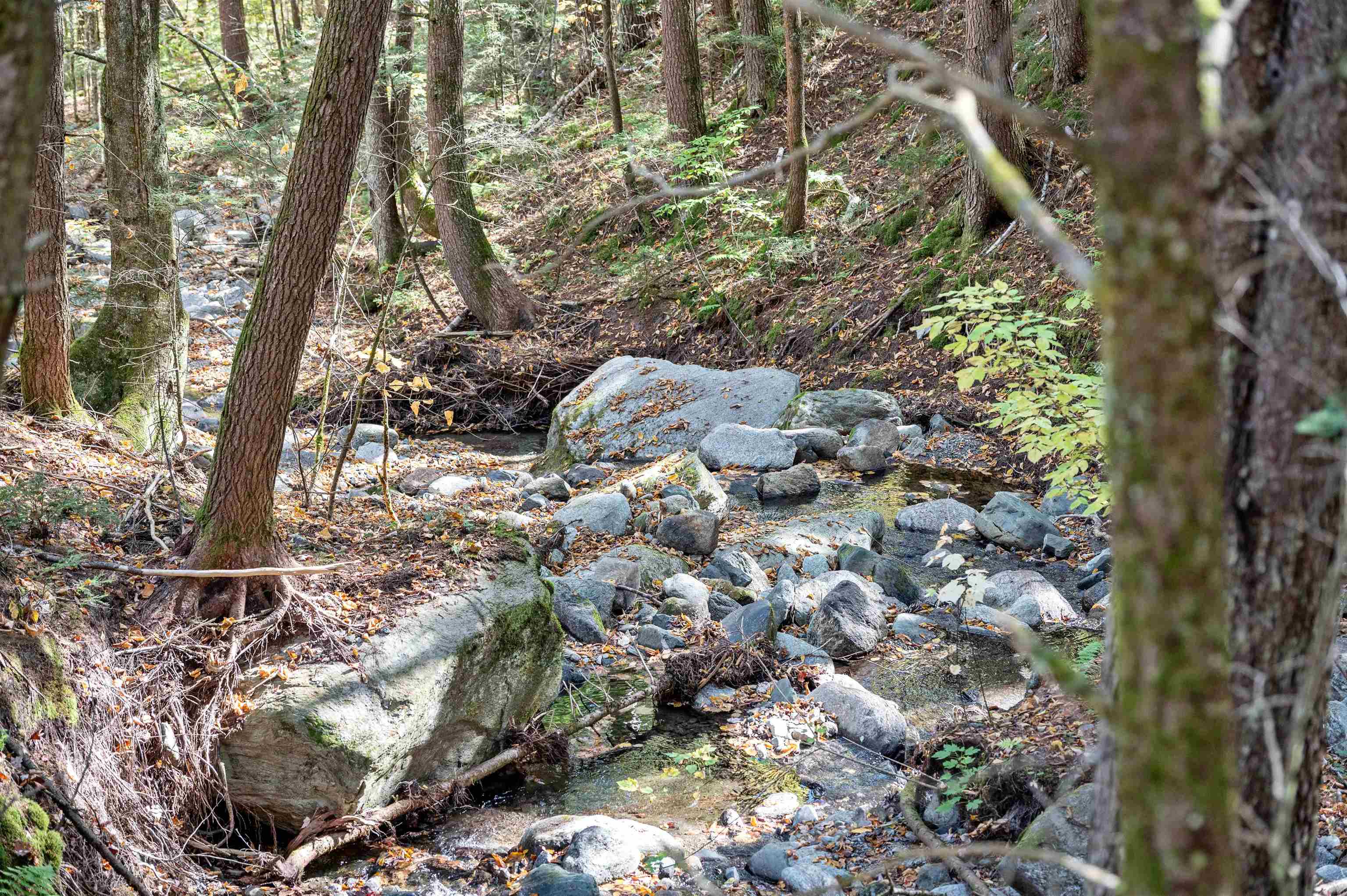 442 Vt Route 12 Property Photo 5