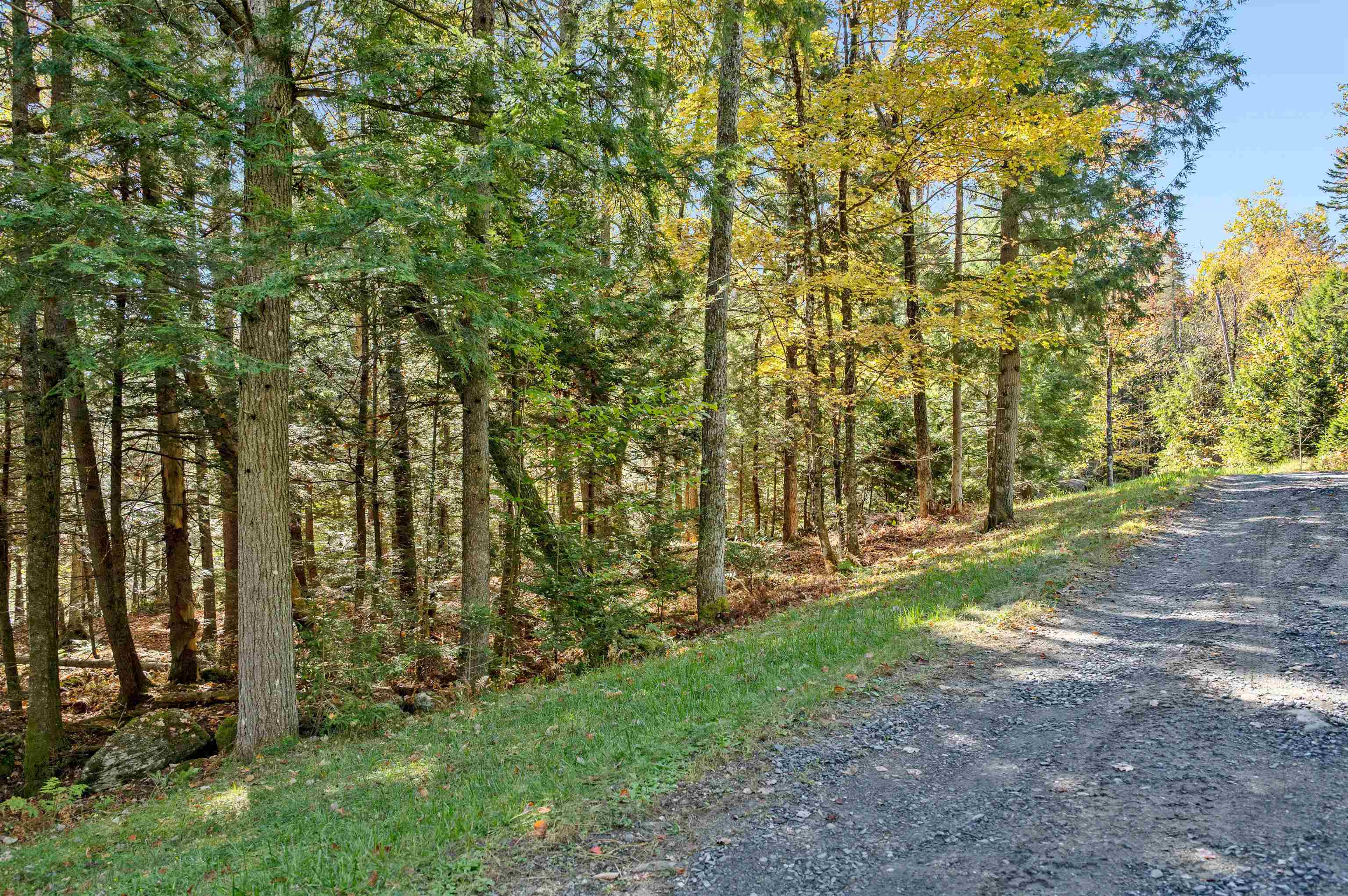 442 Vt Route 12 Property Photo 10