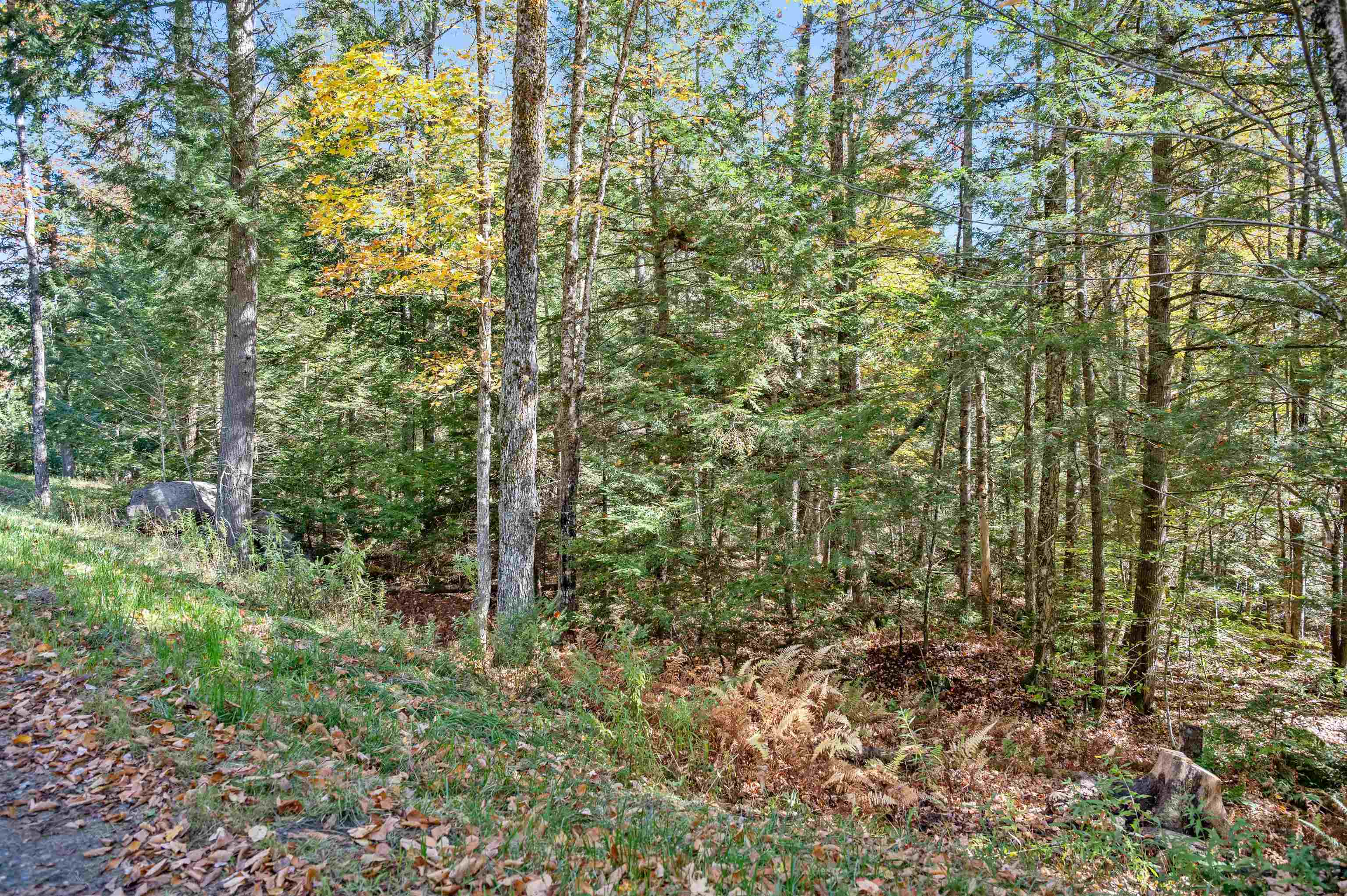 442 Vt Route 12 Property Photo 11