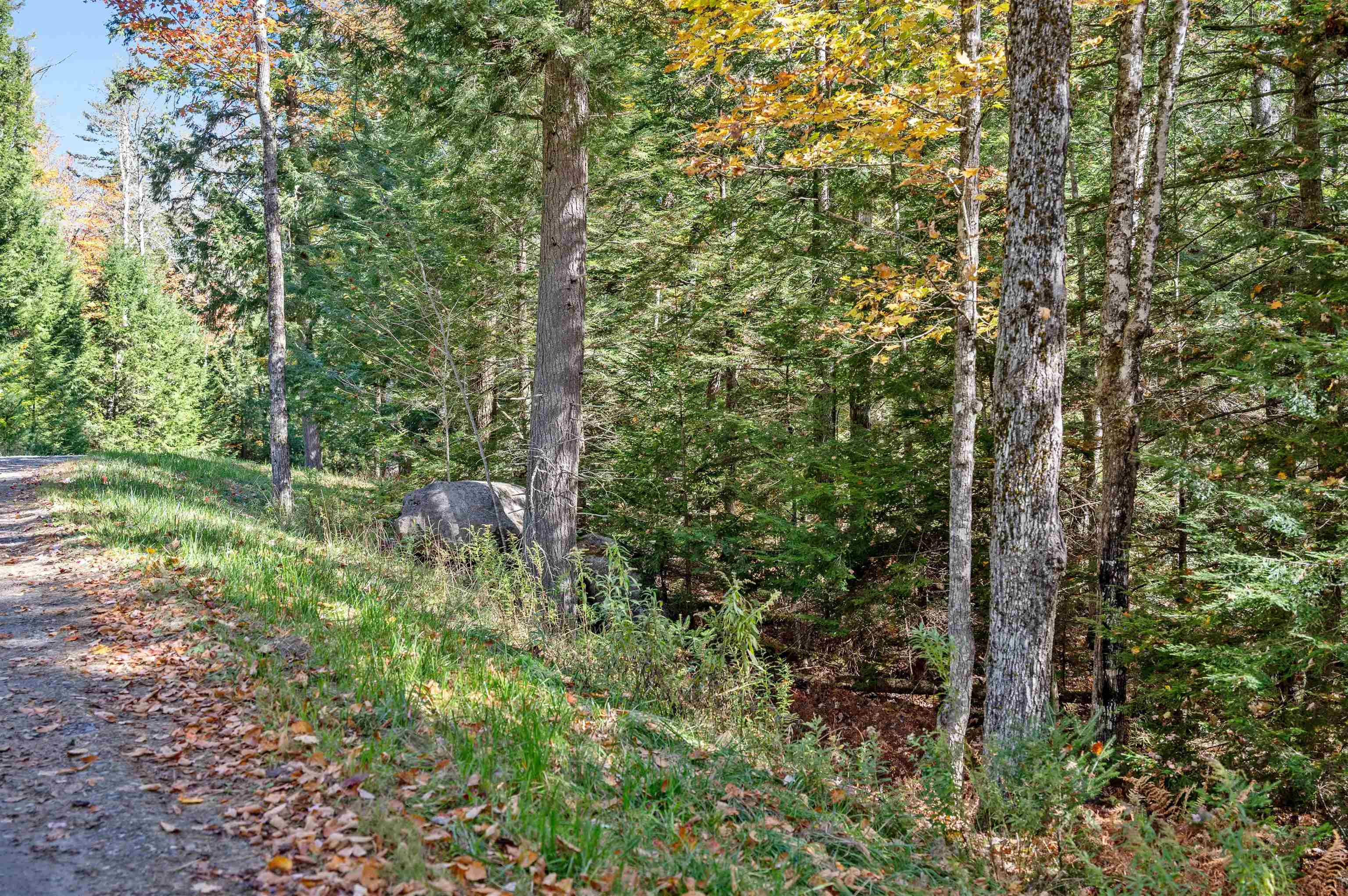 442 Vt Route 12 Property Photo 12