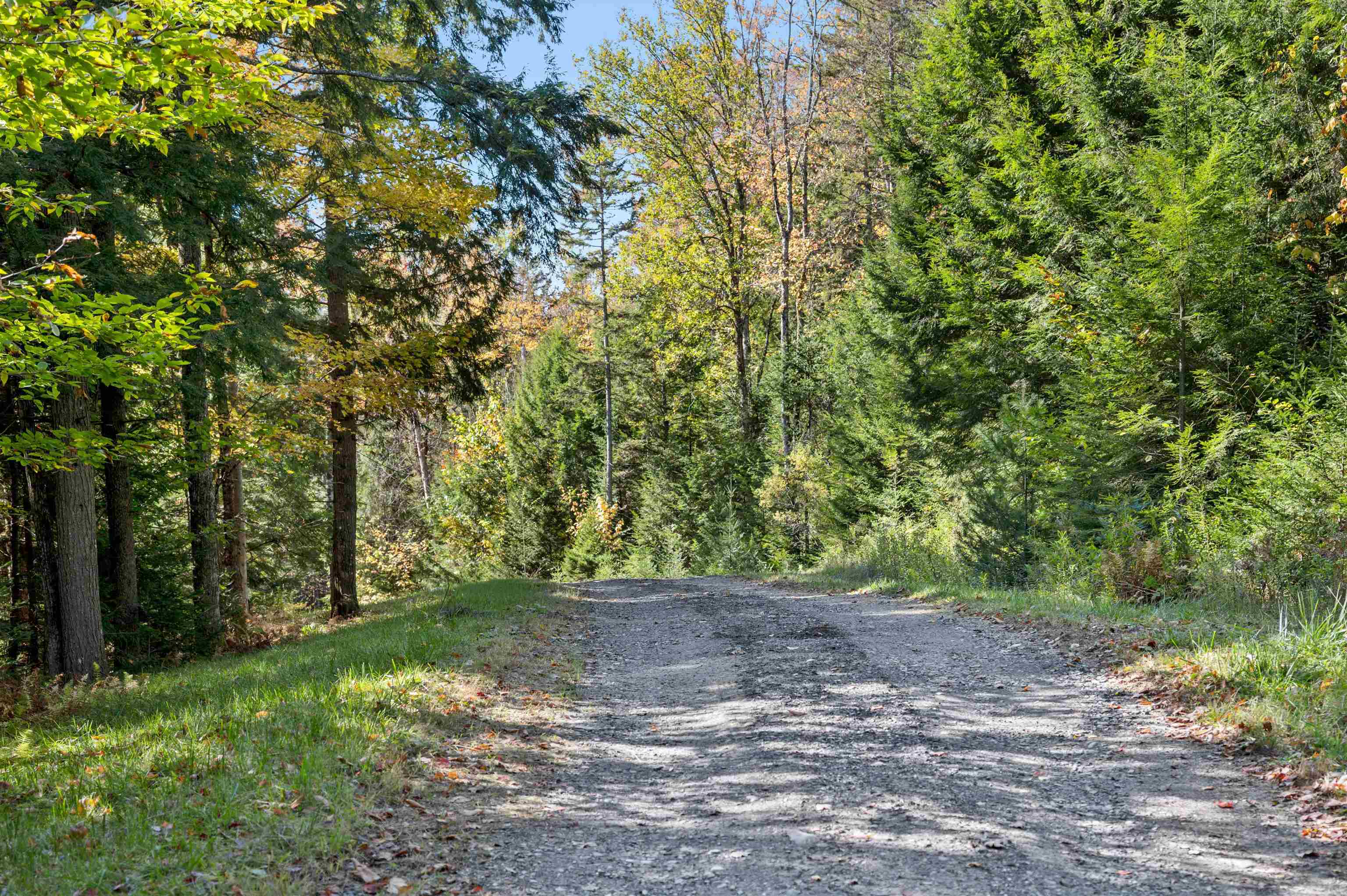442 Vt Route 12 Property Photo 13