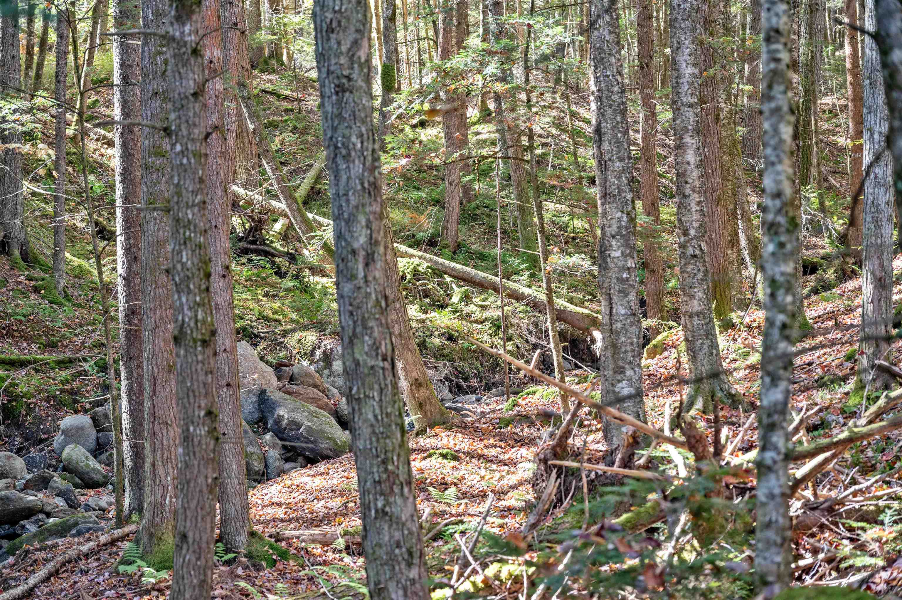 442 Vt Route 12 Property Photo 14
