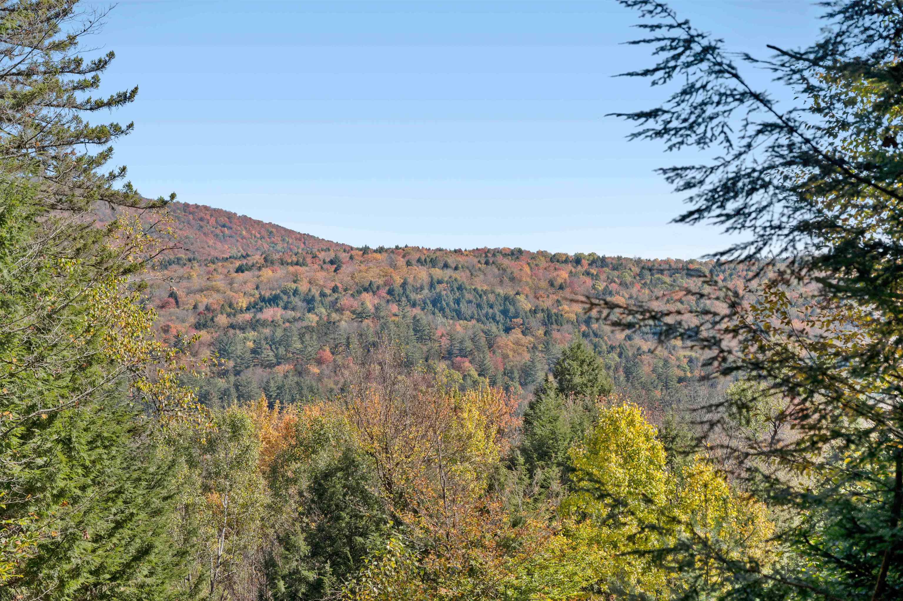 442 Vt Route 12 Property Photo 1