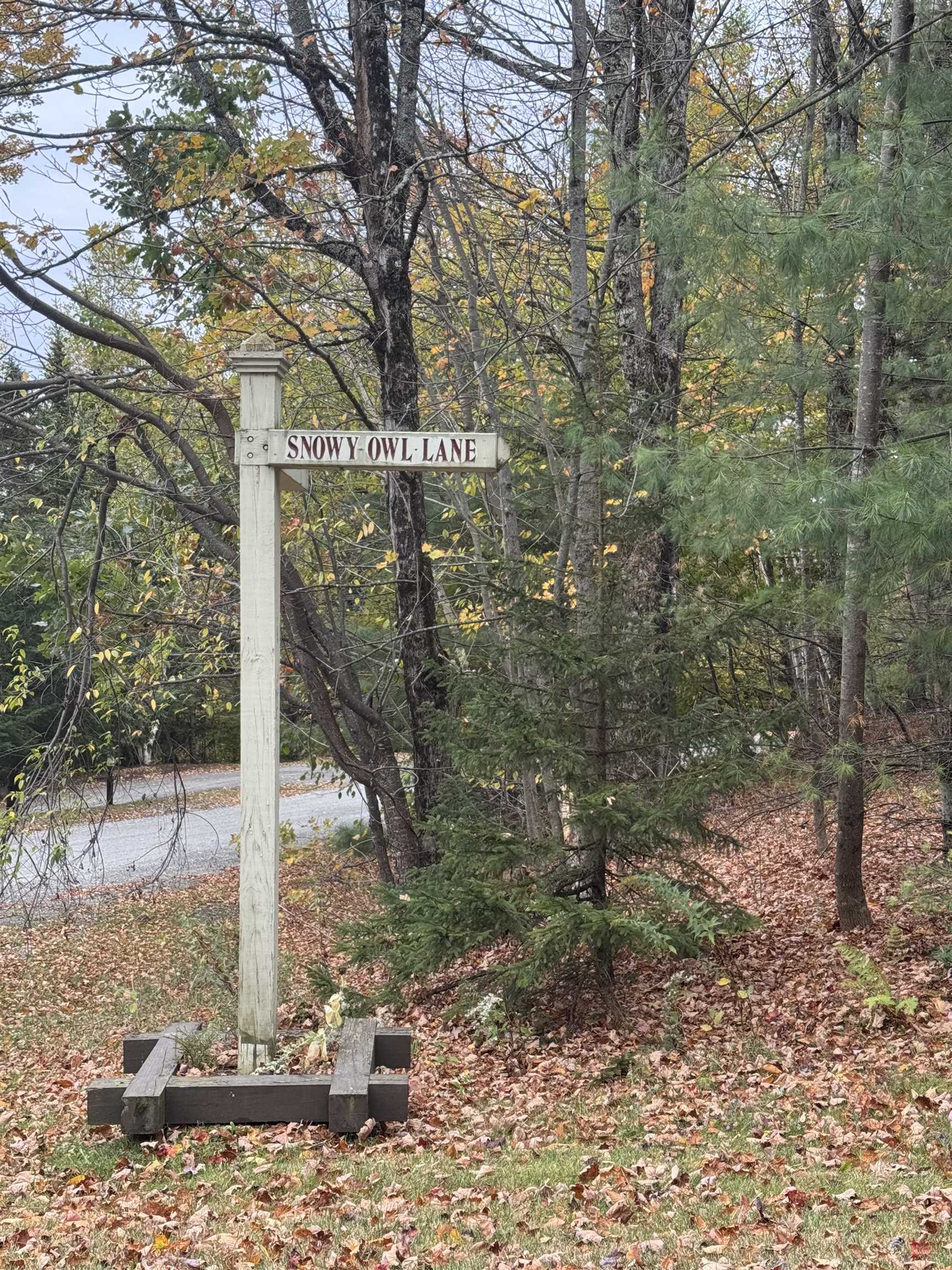 3-57 Snowy Owl Lane Property Photo 14