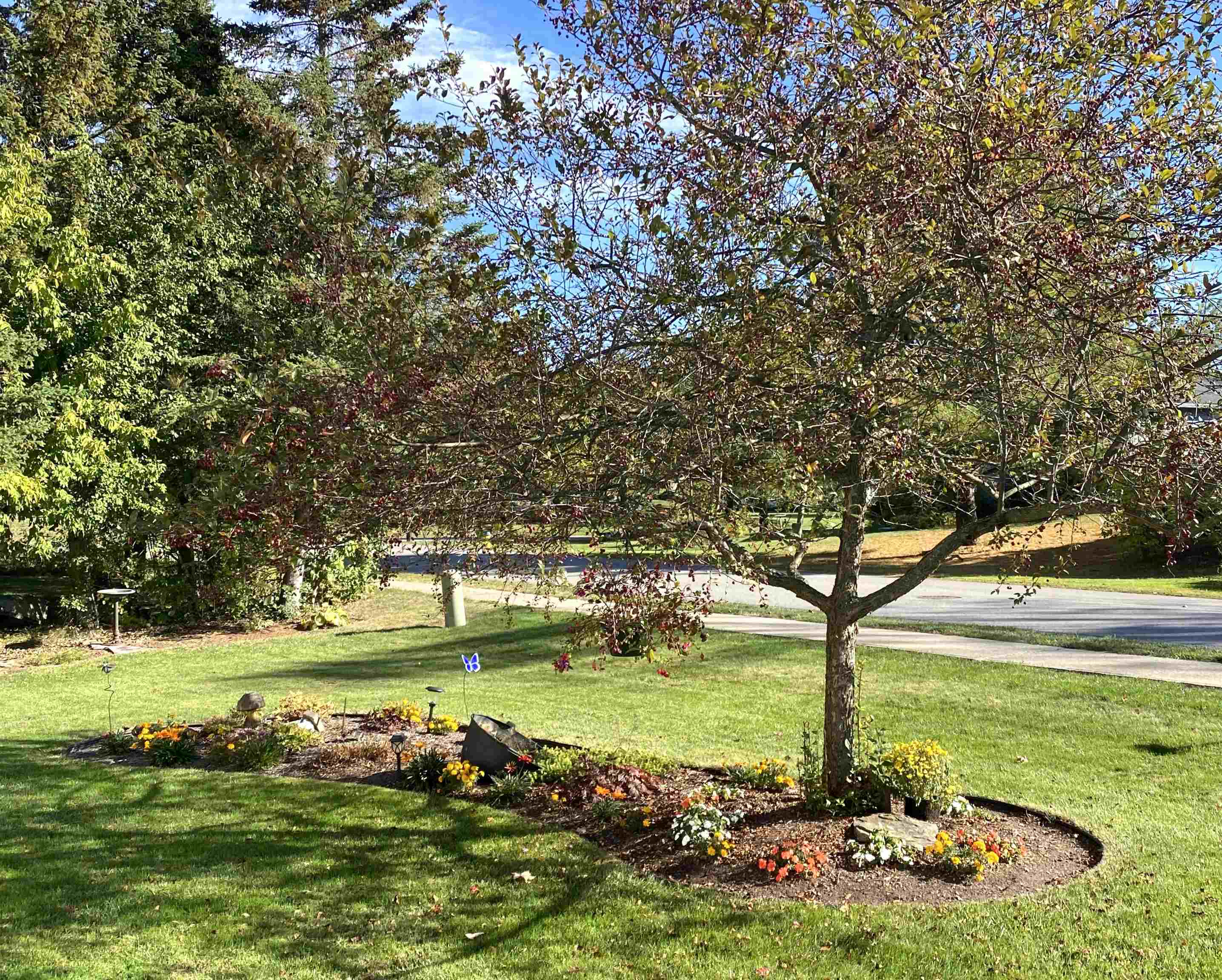 23 Brookside Drive Property Photo 2