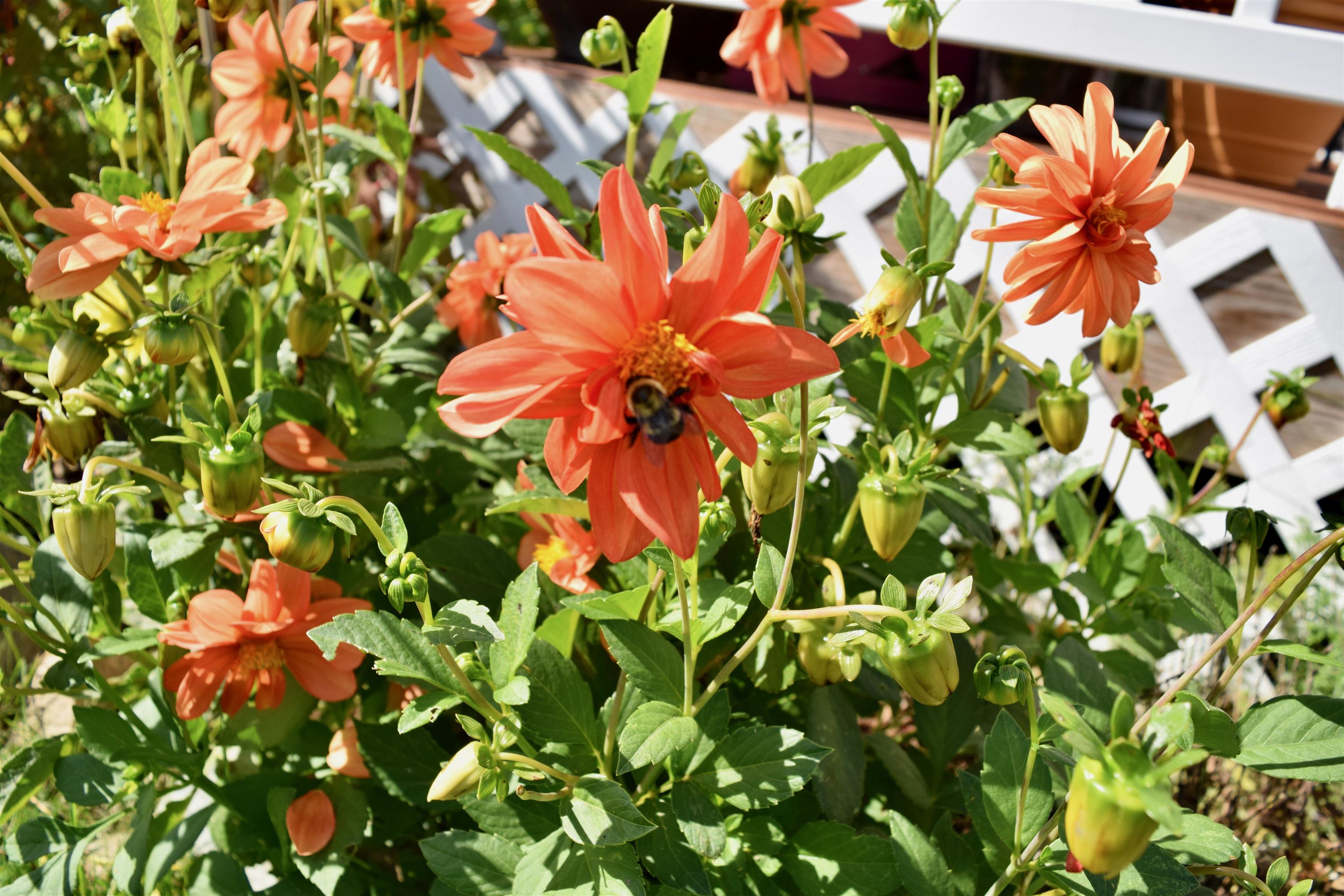 166 Horseshoe Circle Property Photo 30