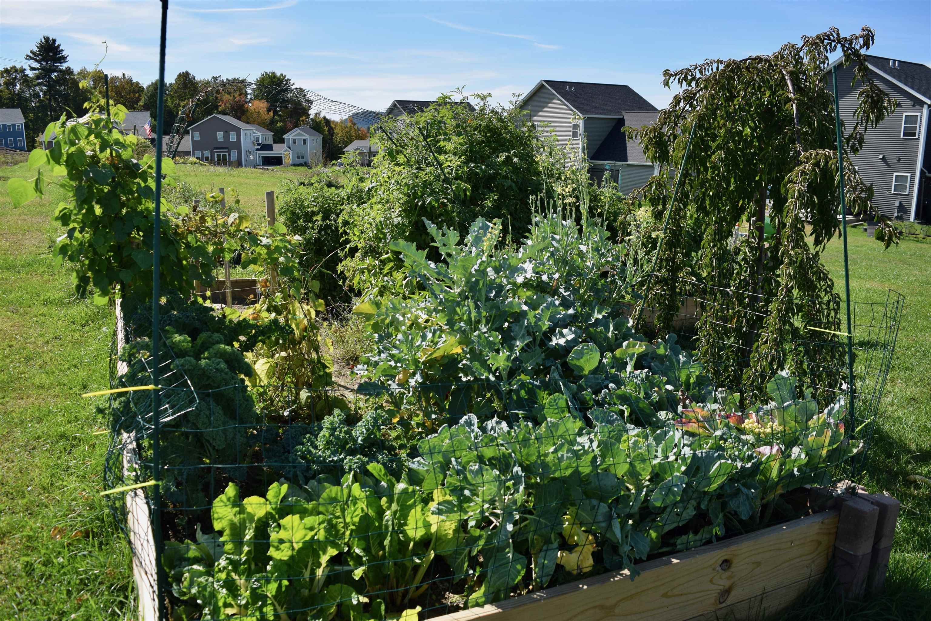 166 Horseshoe Circle Property Photo 32