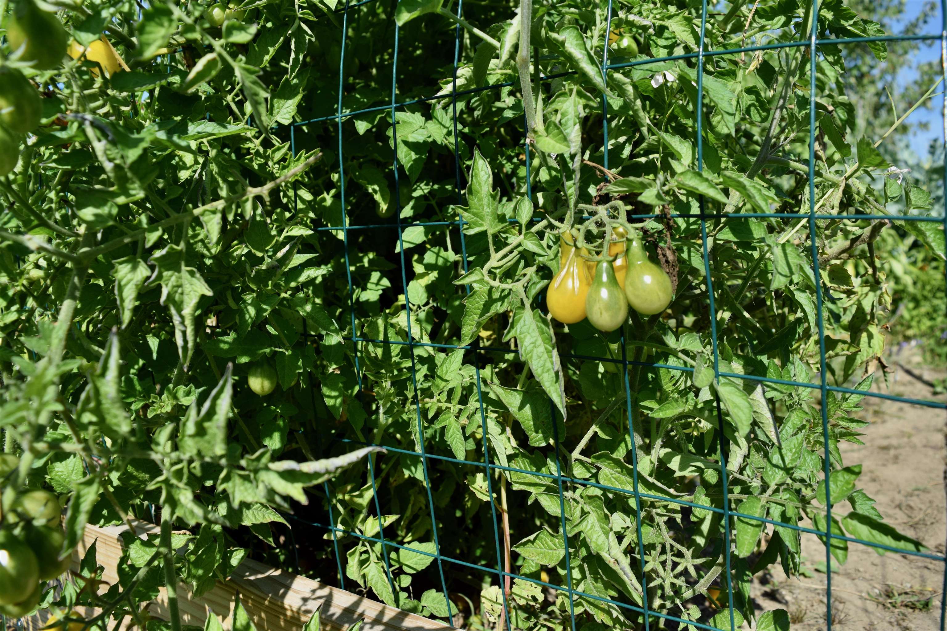 166 Horseshoe Circle Property Photo 34