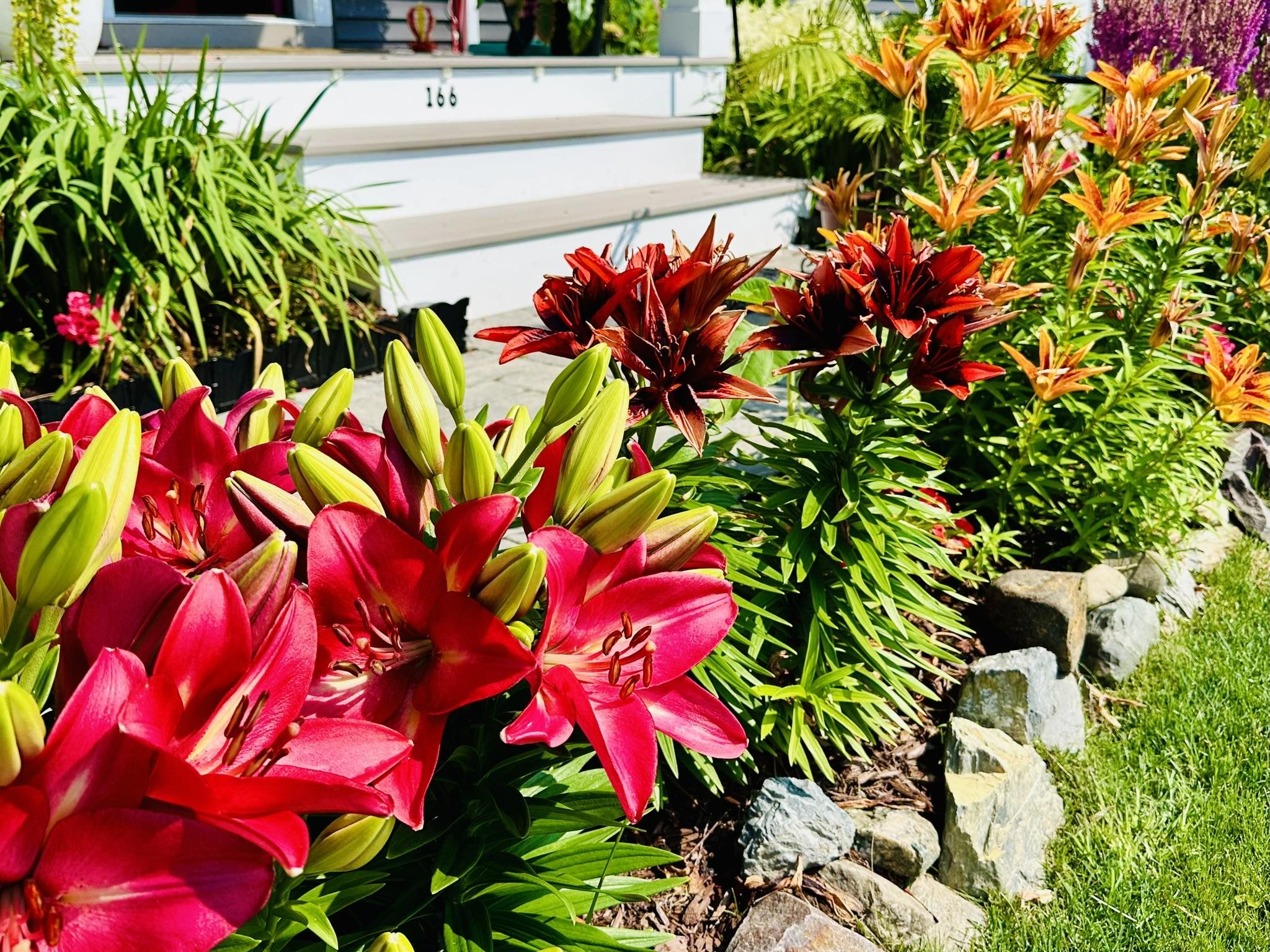 166 Horseshoe Circle Property Photo 41