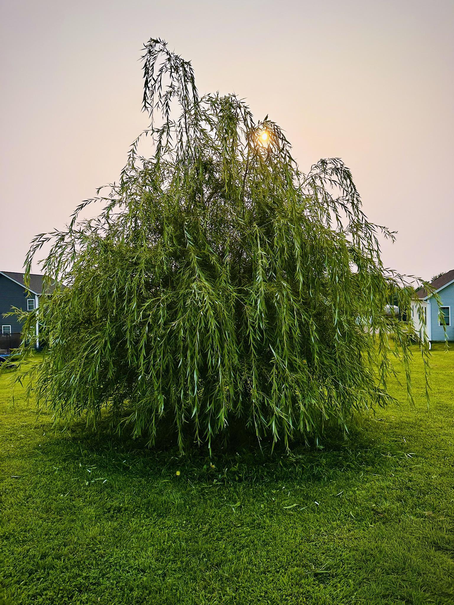 166 Horseshoe Circle Property Photo 42